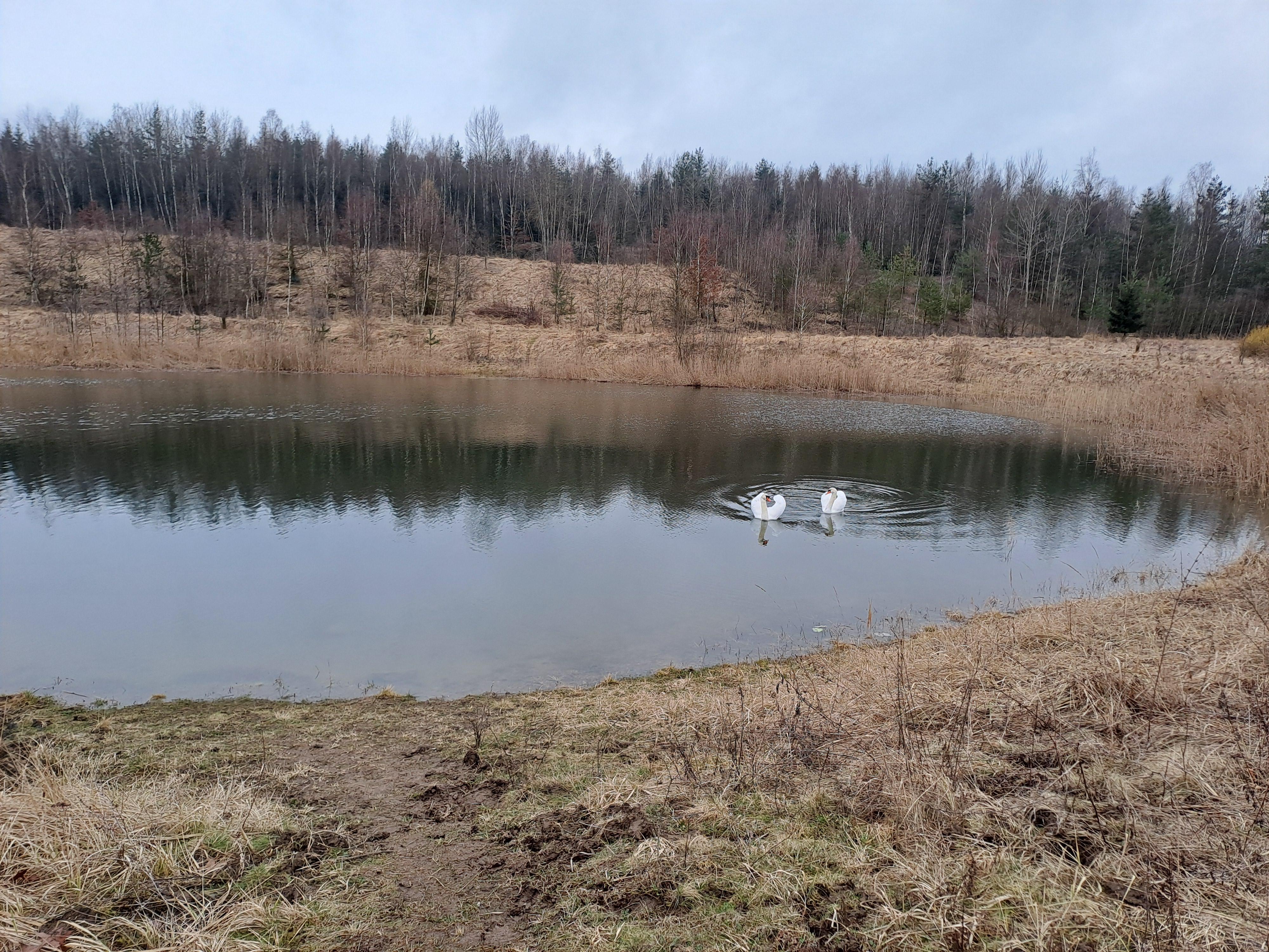 Chata Kamenice foto 3