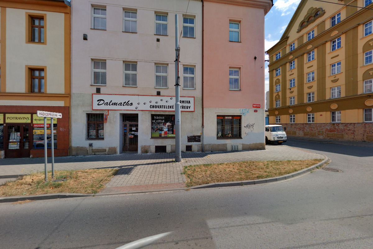 DALMATHO foto 2