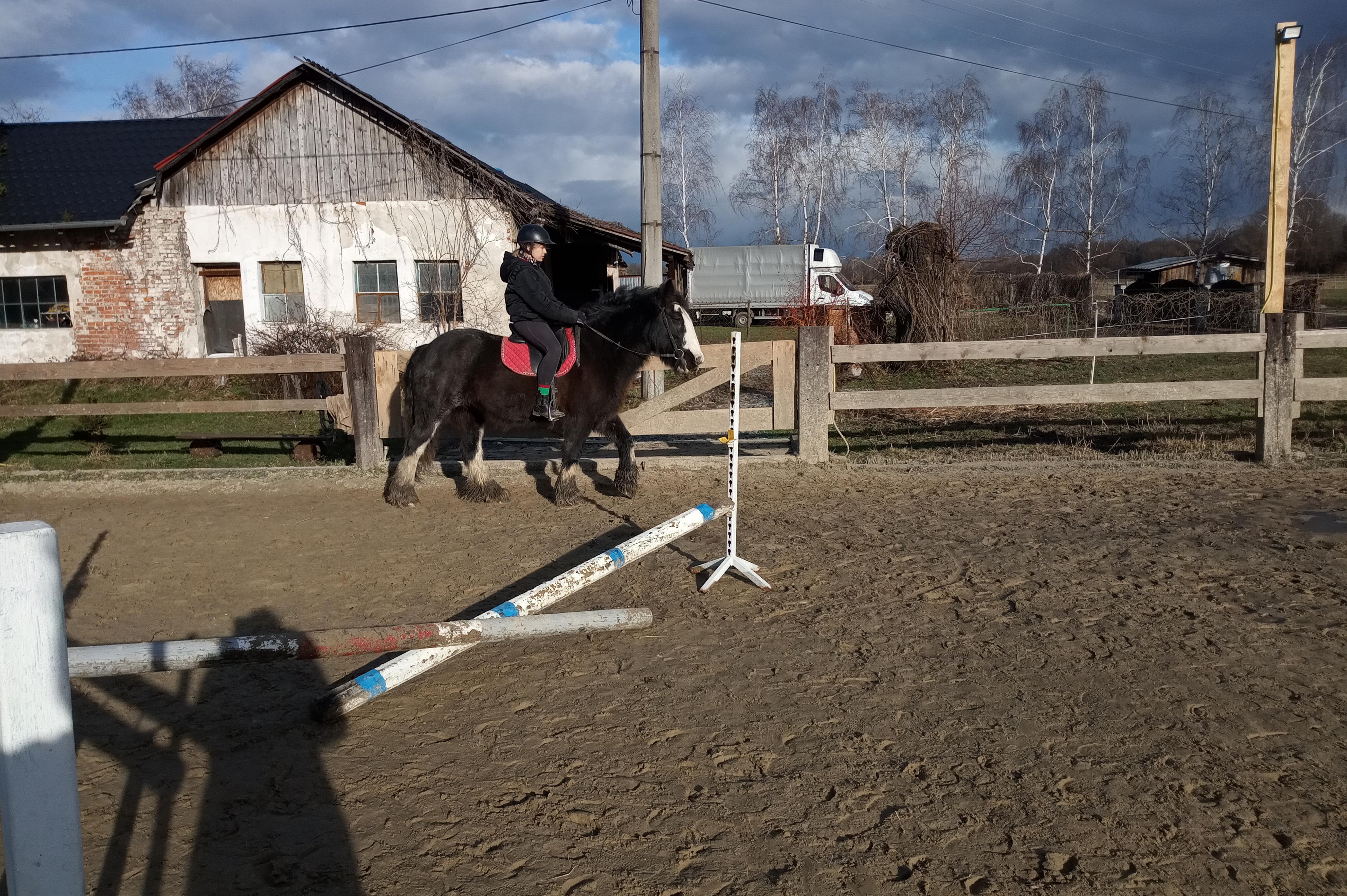 Stáj KoMoDaMa - JS Borneo