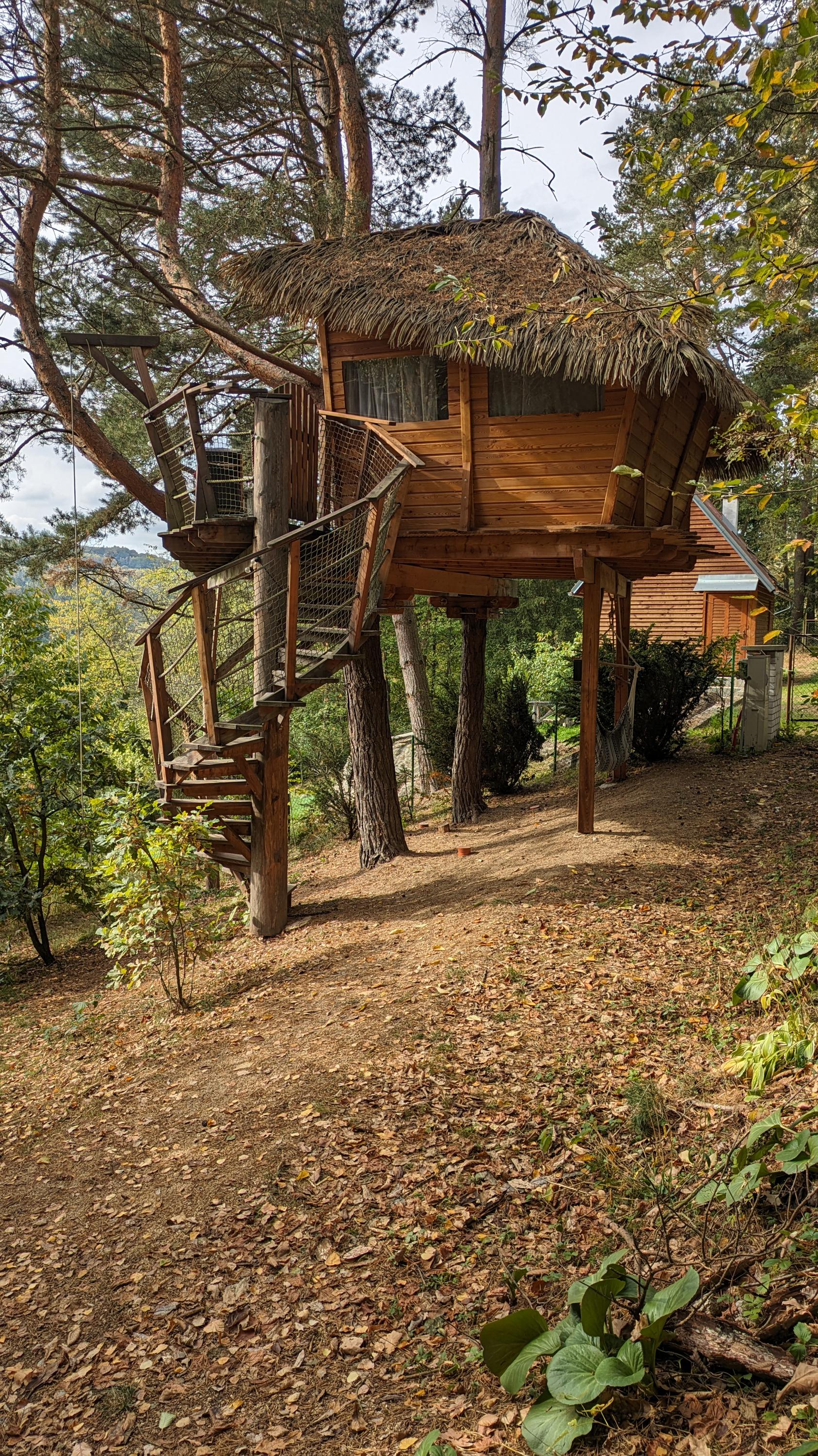 Mgr. Hana Páleníčková foto 3