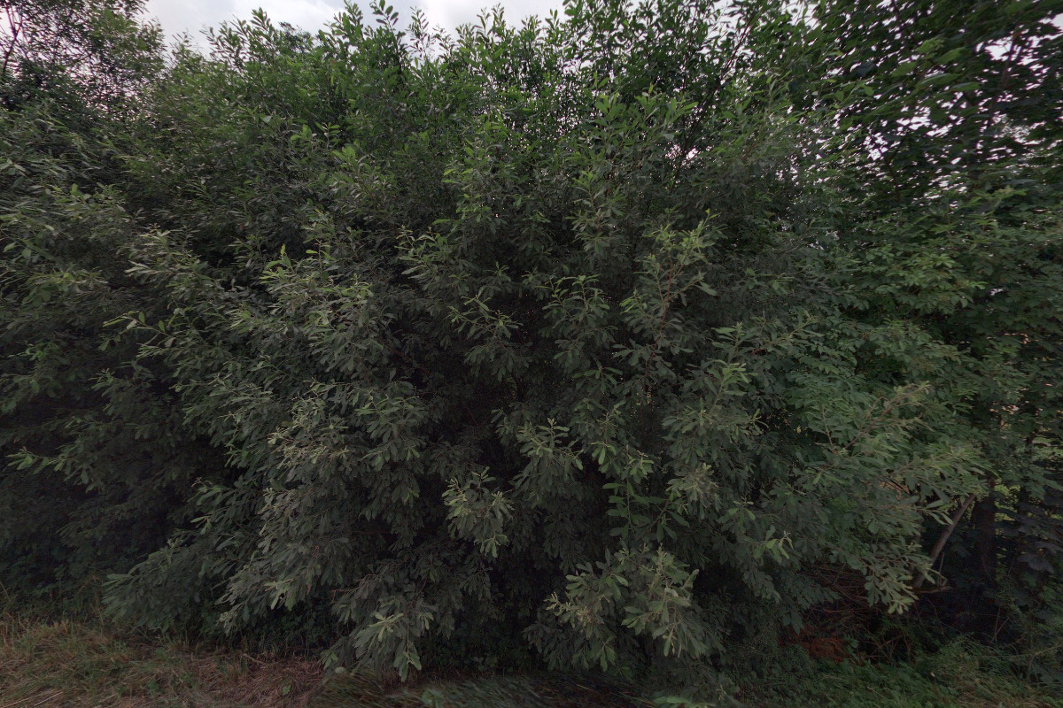 Farma Horní Vítkov foto 2