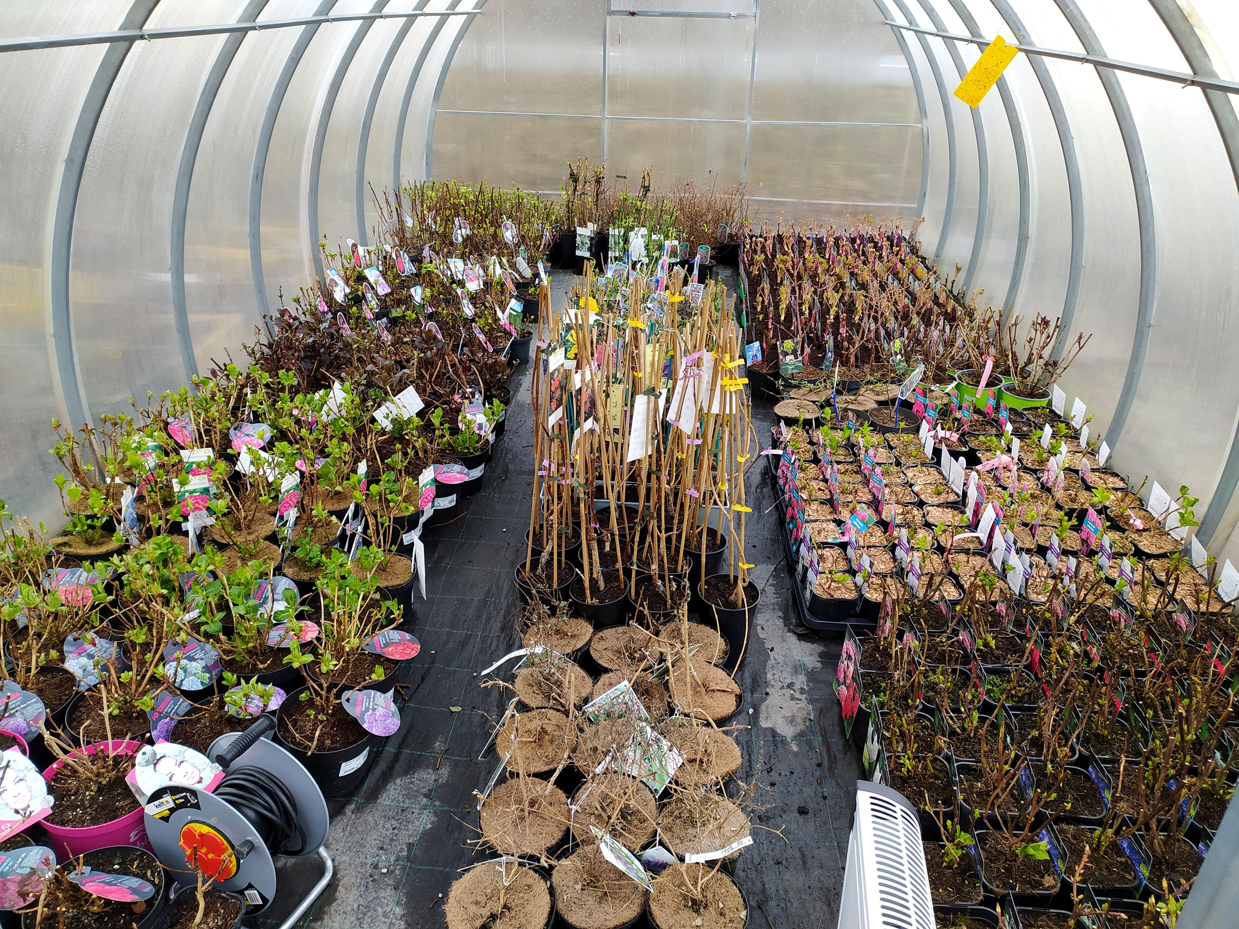 ZAHRADNICTVÍ ZOJA foto 5