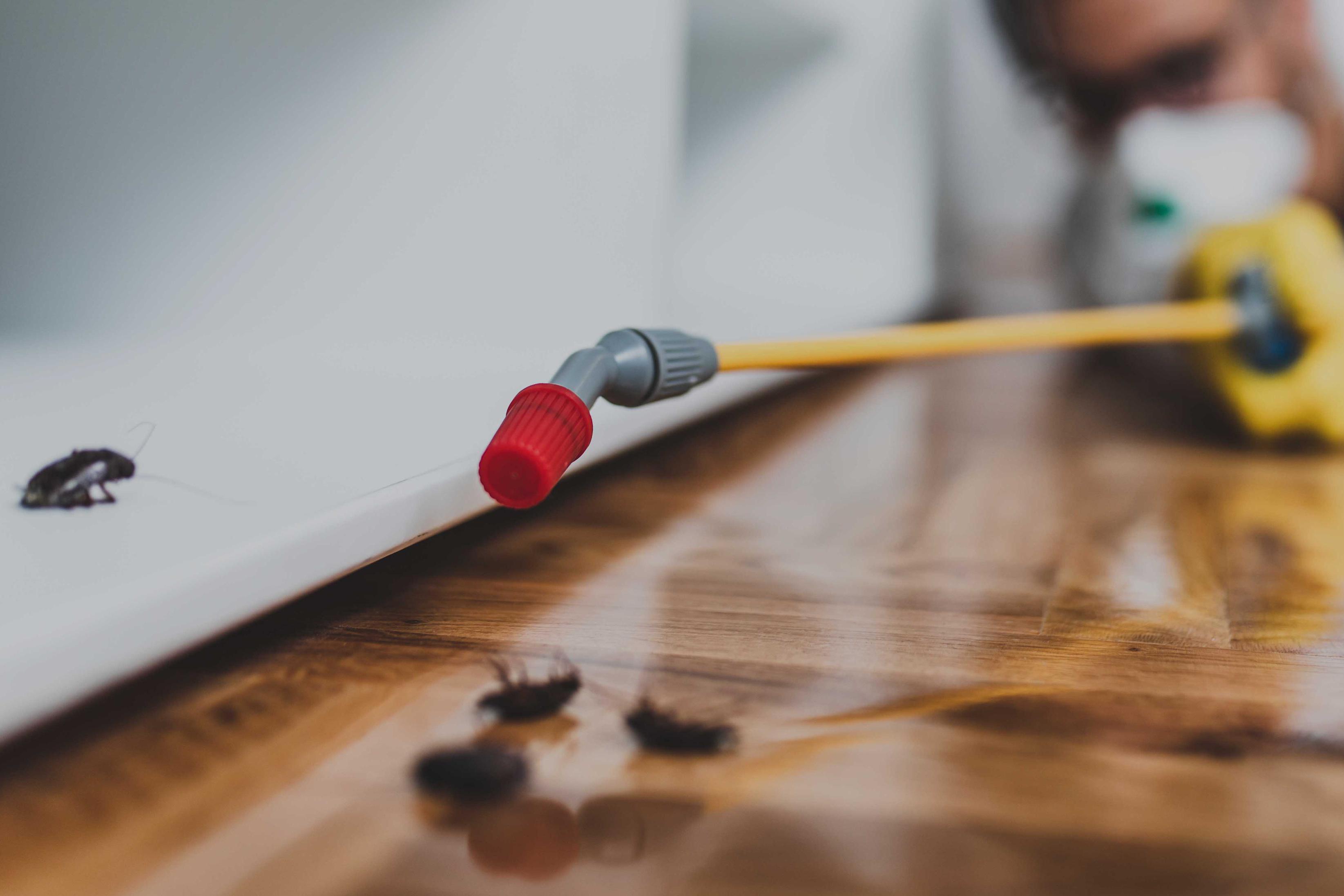 Fairway Services, s.r.o.