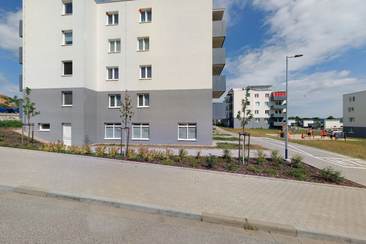 Kadeřnice Šárka Křížová