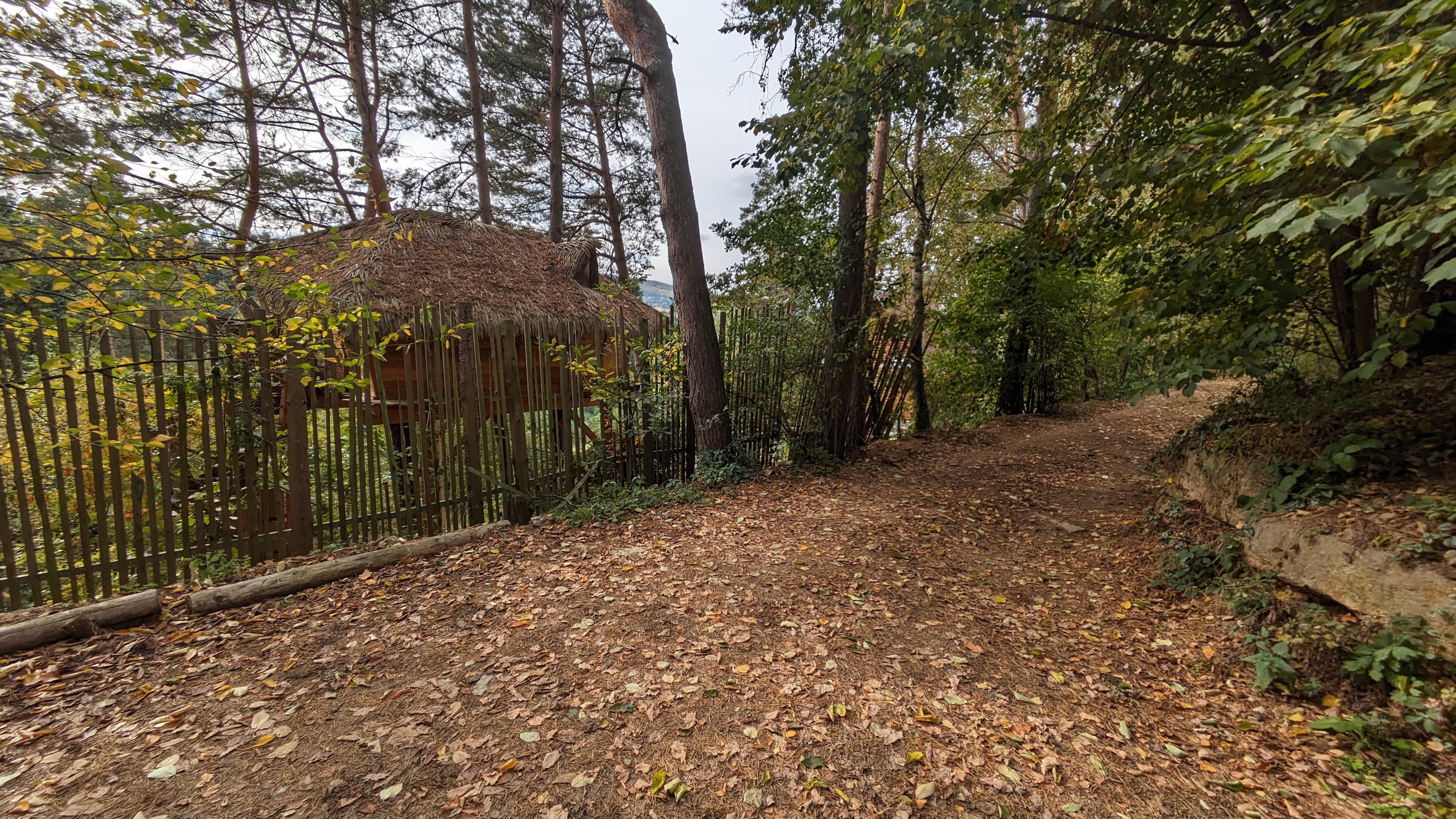 Mgr. Hana Páleníčková foto 5