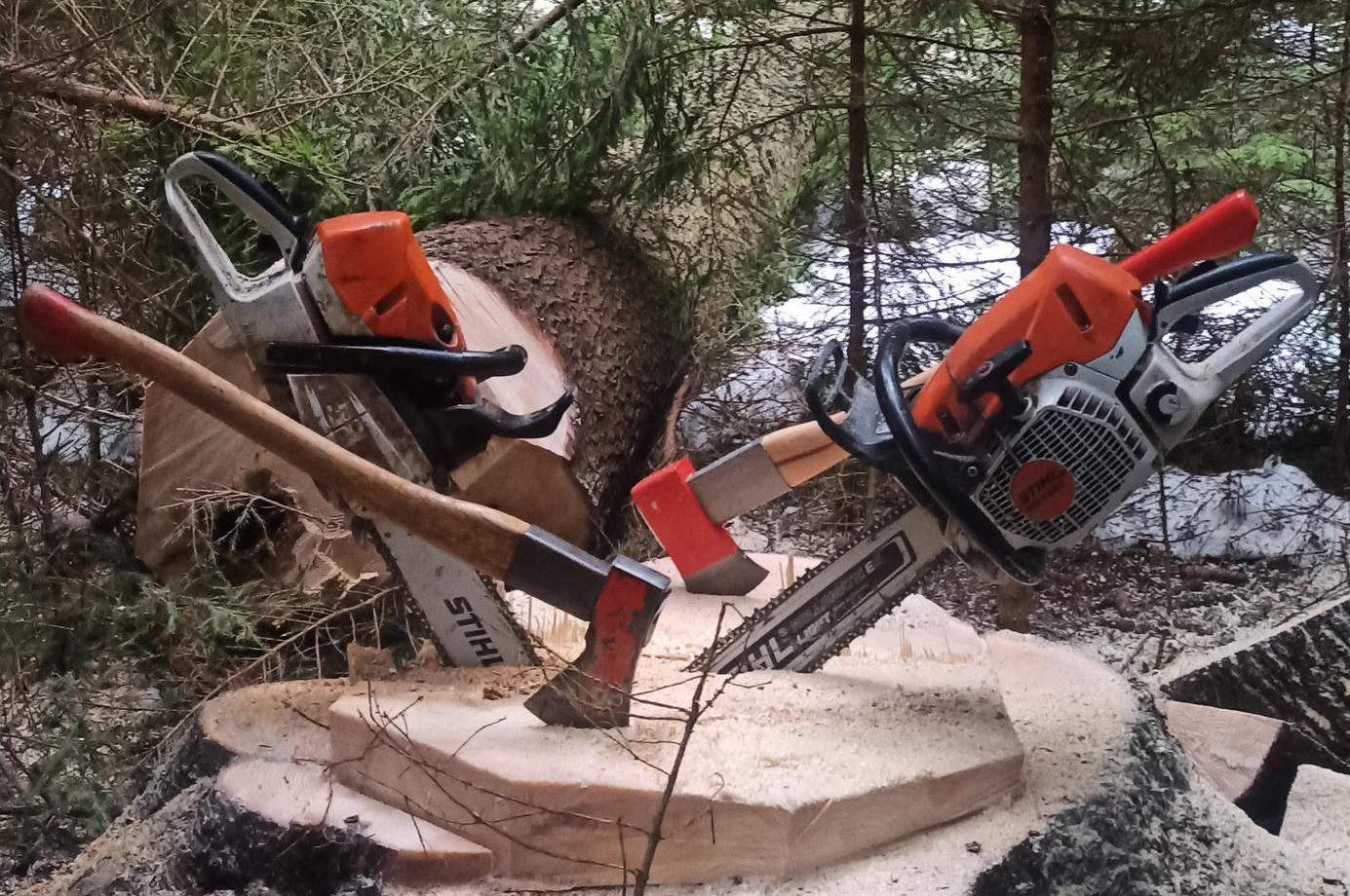 Martin Krizan - práce v lesnictví a zahradnictví