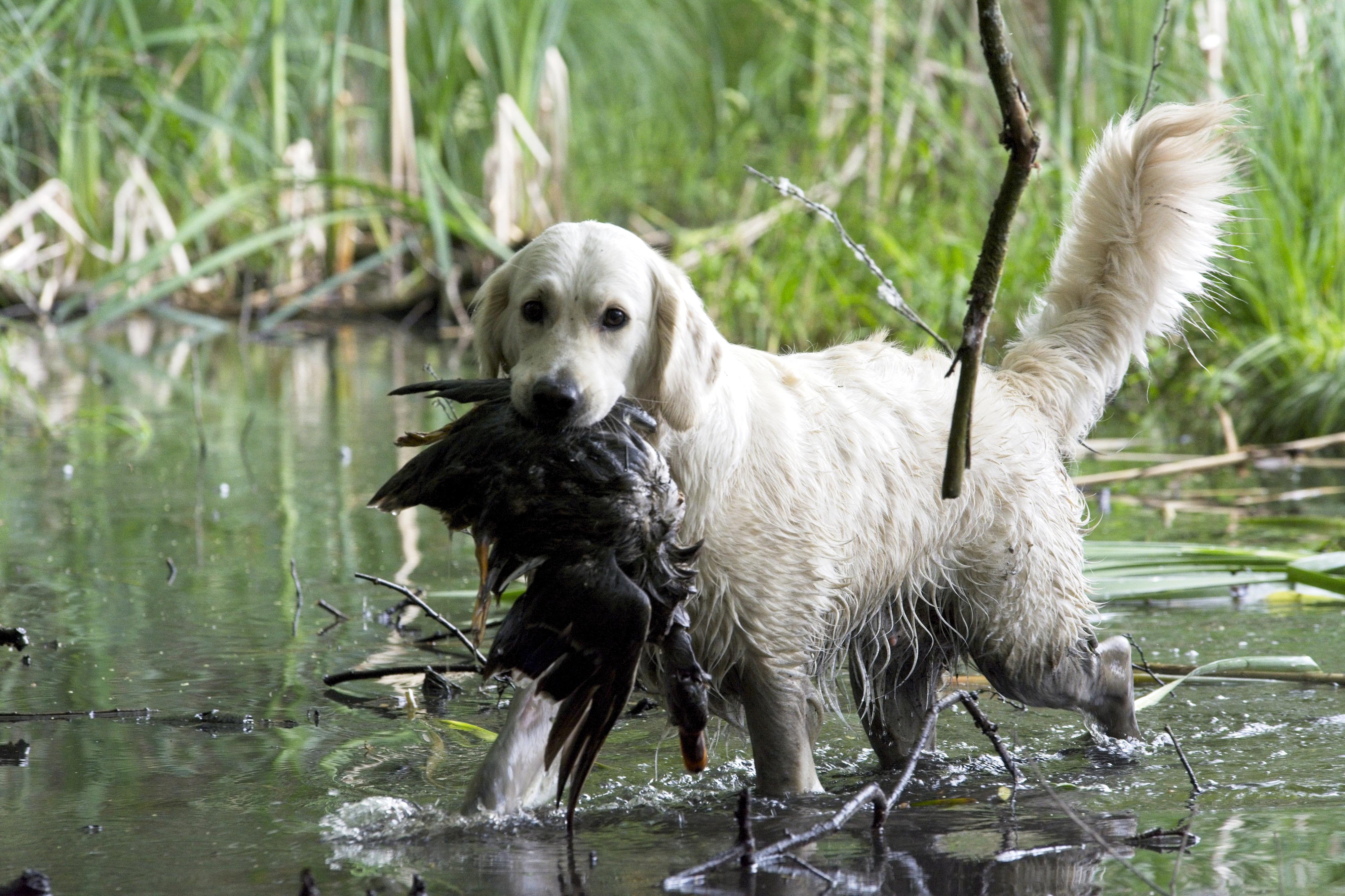 Ing. Zuzana Čechová foto 4