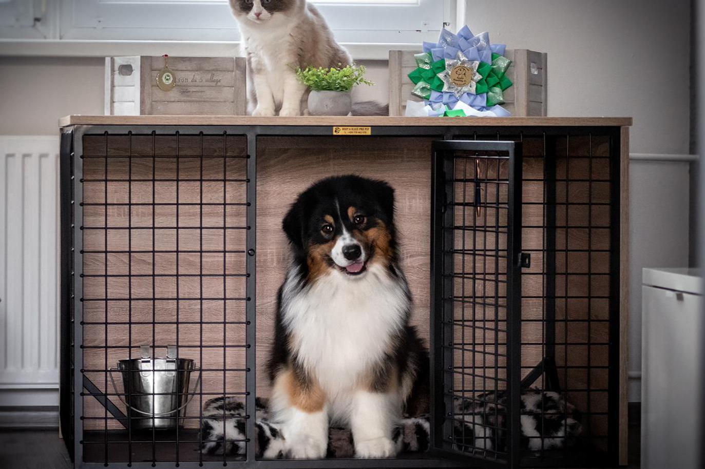 Boxy a klece pro psy Voltr