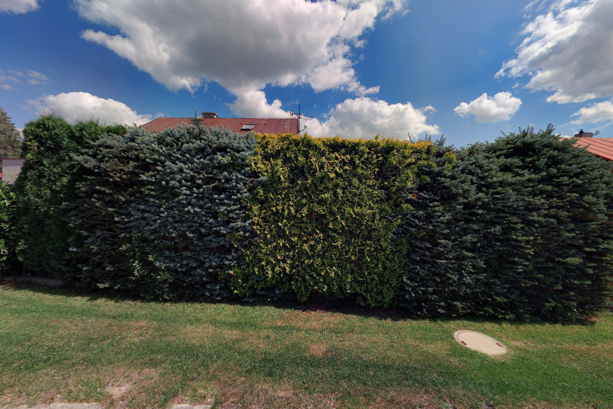 The Barton's Sunny Gardens