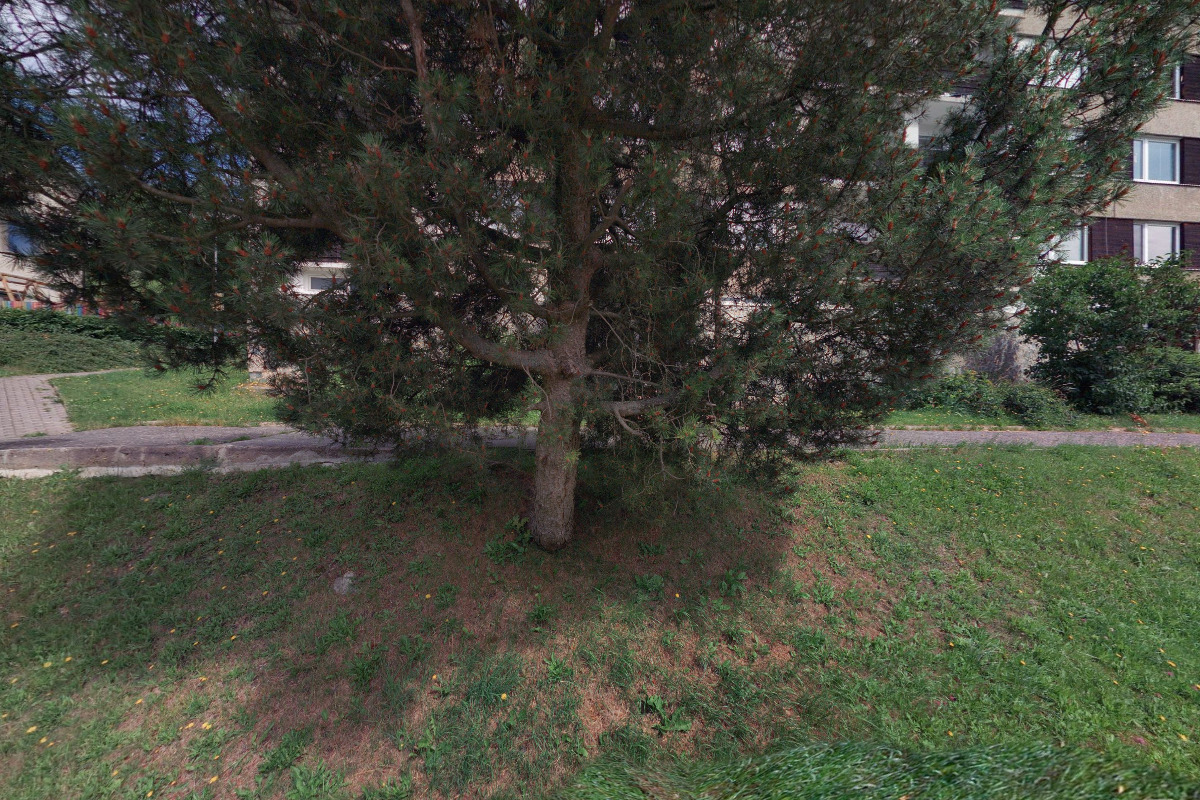 Apartmán u lanovky