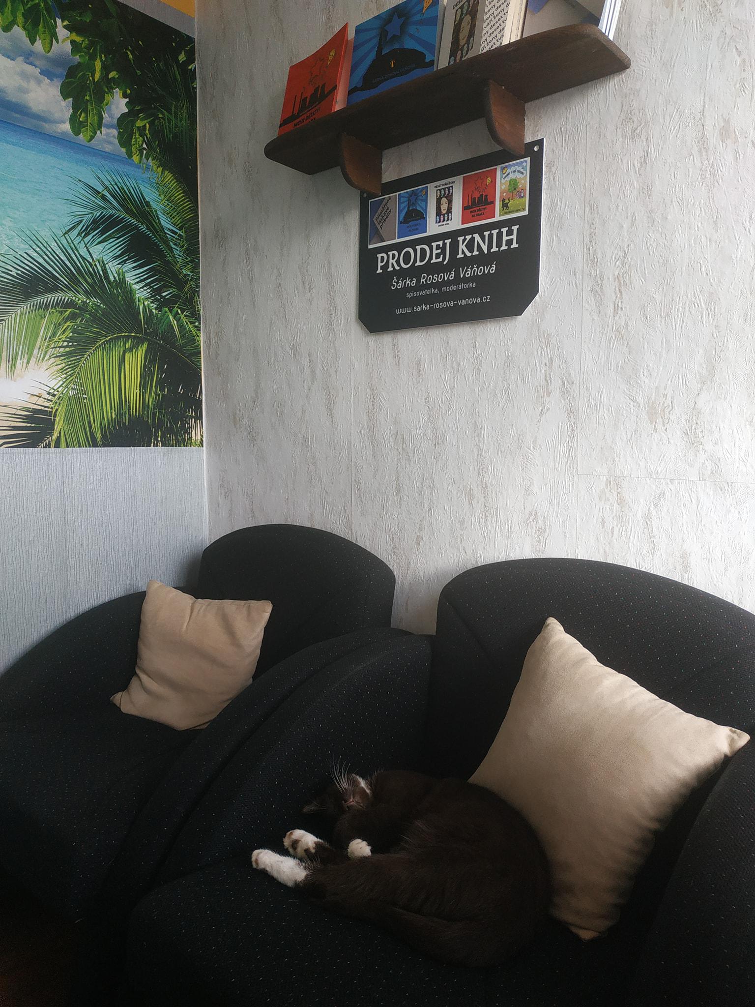 Knihy psané srdcem - Šárka Rosová Váňová foto 5