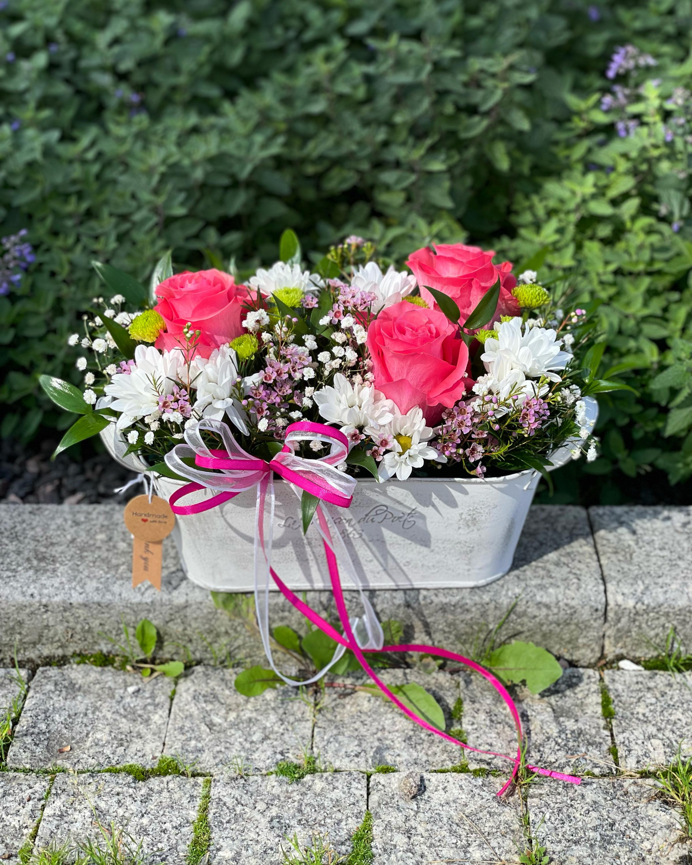 Zahradní centrum Gami foto 2