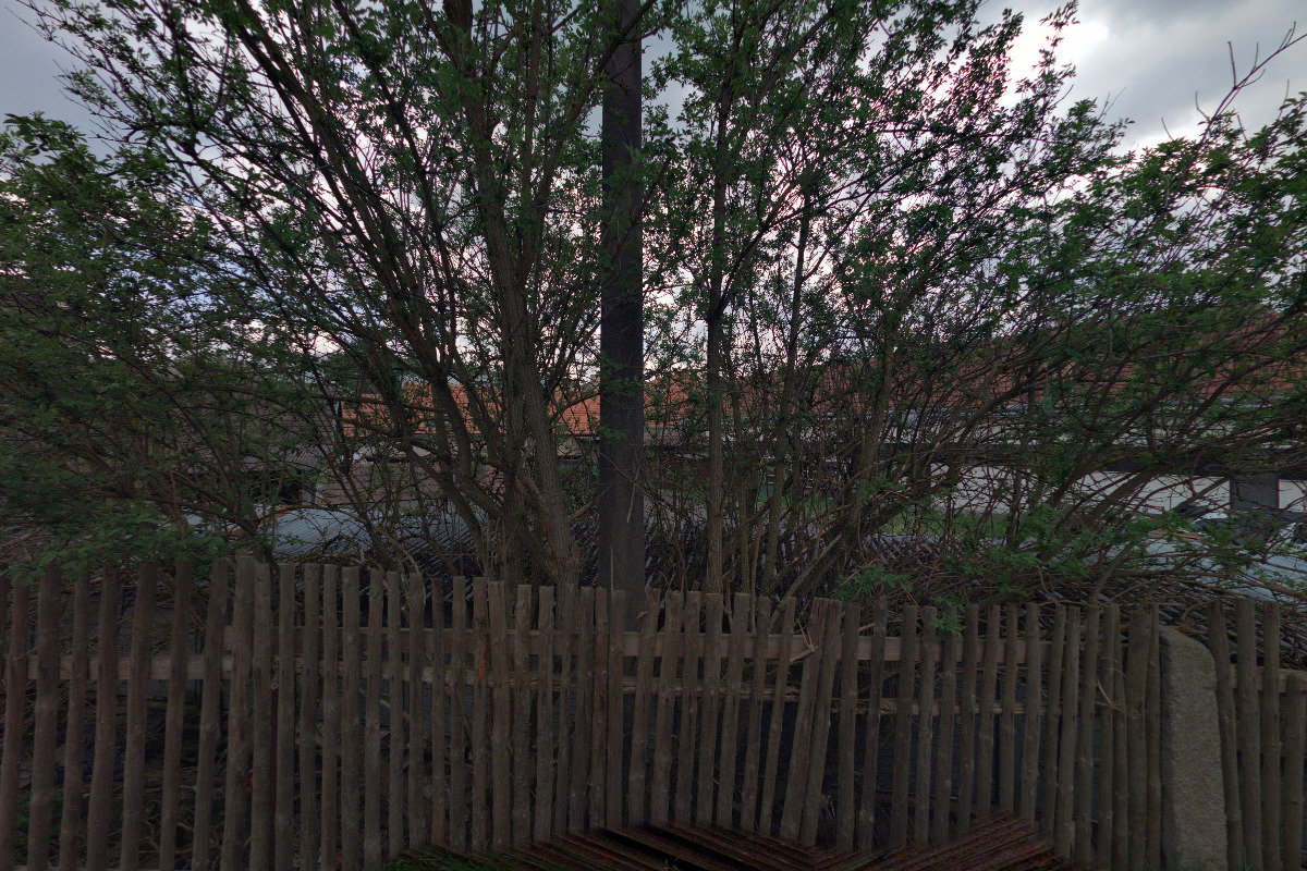 MVDr. Pavel Bártík