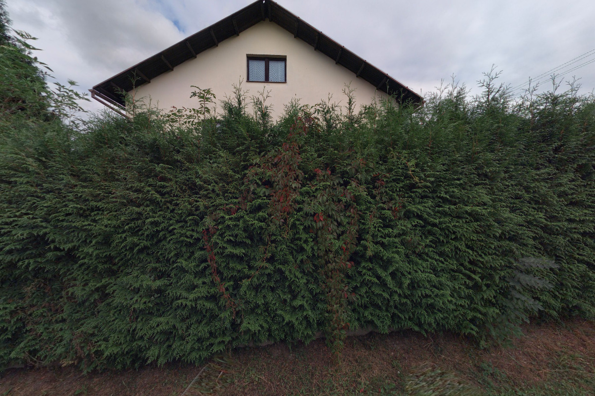 Ing. Vlastimil Šimek - BOTANIKA