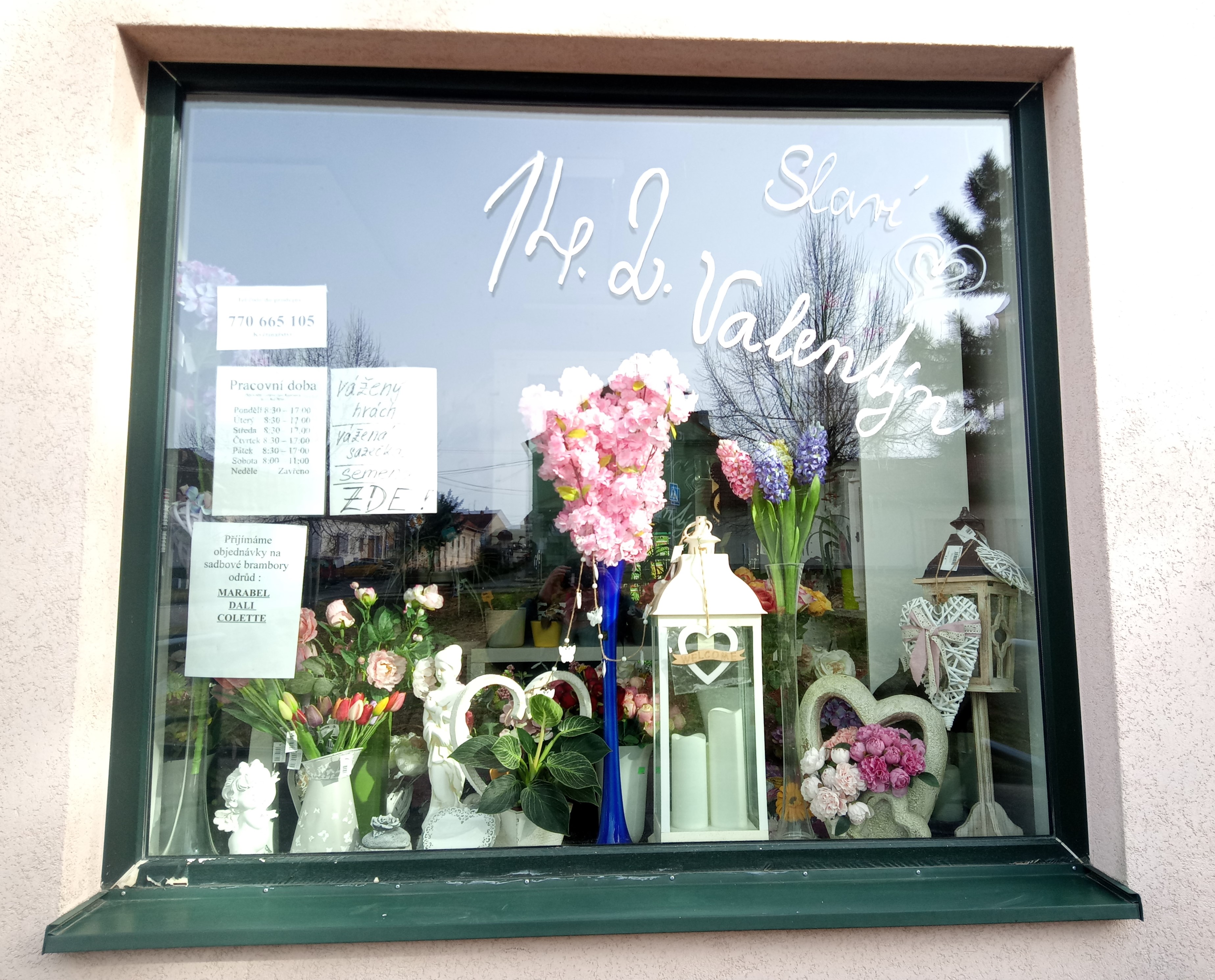 Jana Kopřivová - Květiny foto 3