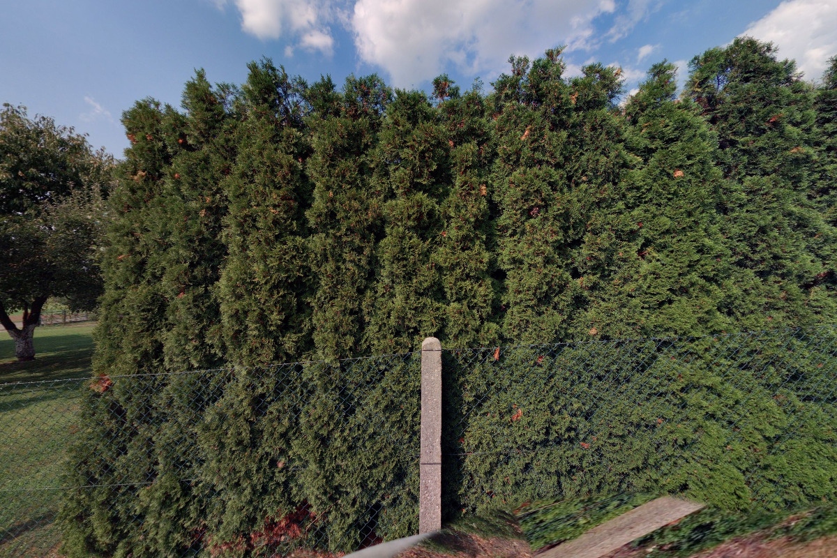 TJ Jaroměřice - tenisový oddíl foto 1