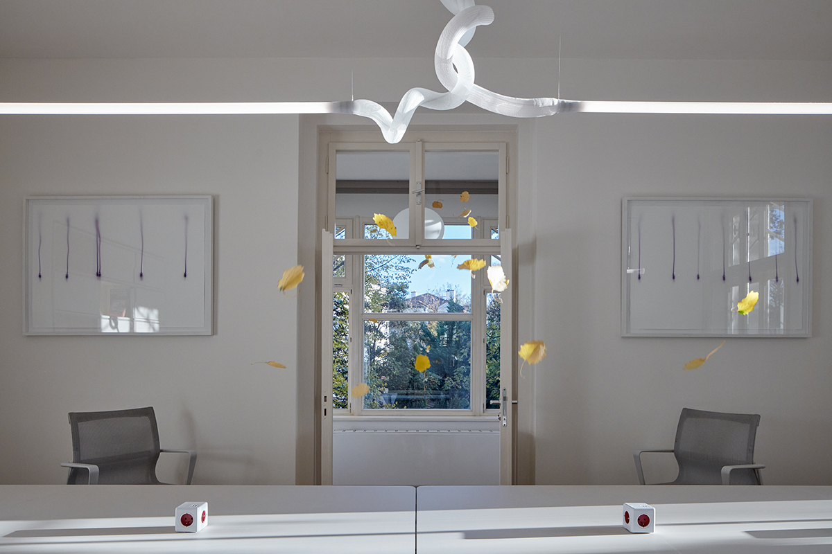 Svoboda & Williams foto 3