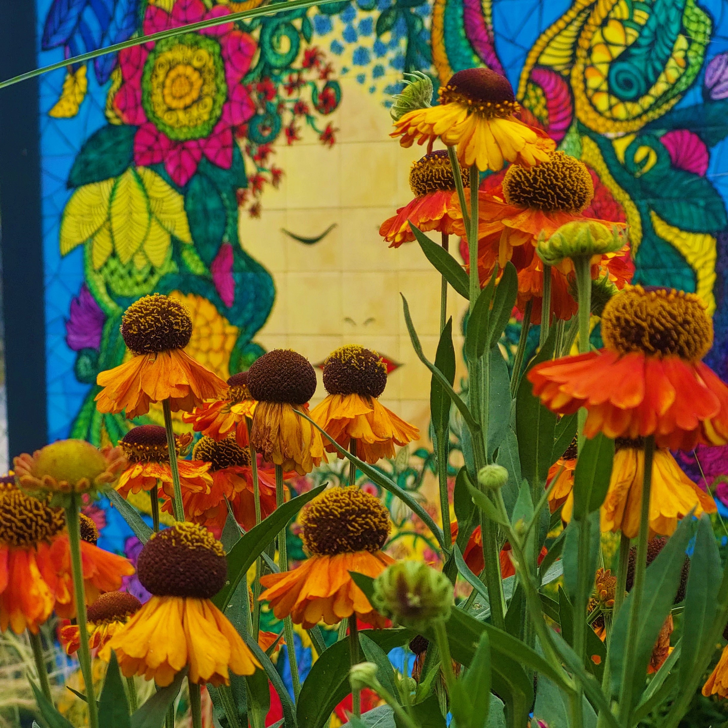 JAMI Gardens - letní ateliér foto 4