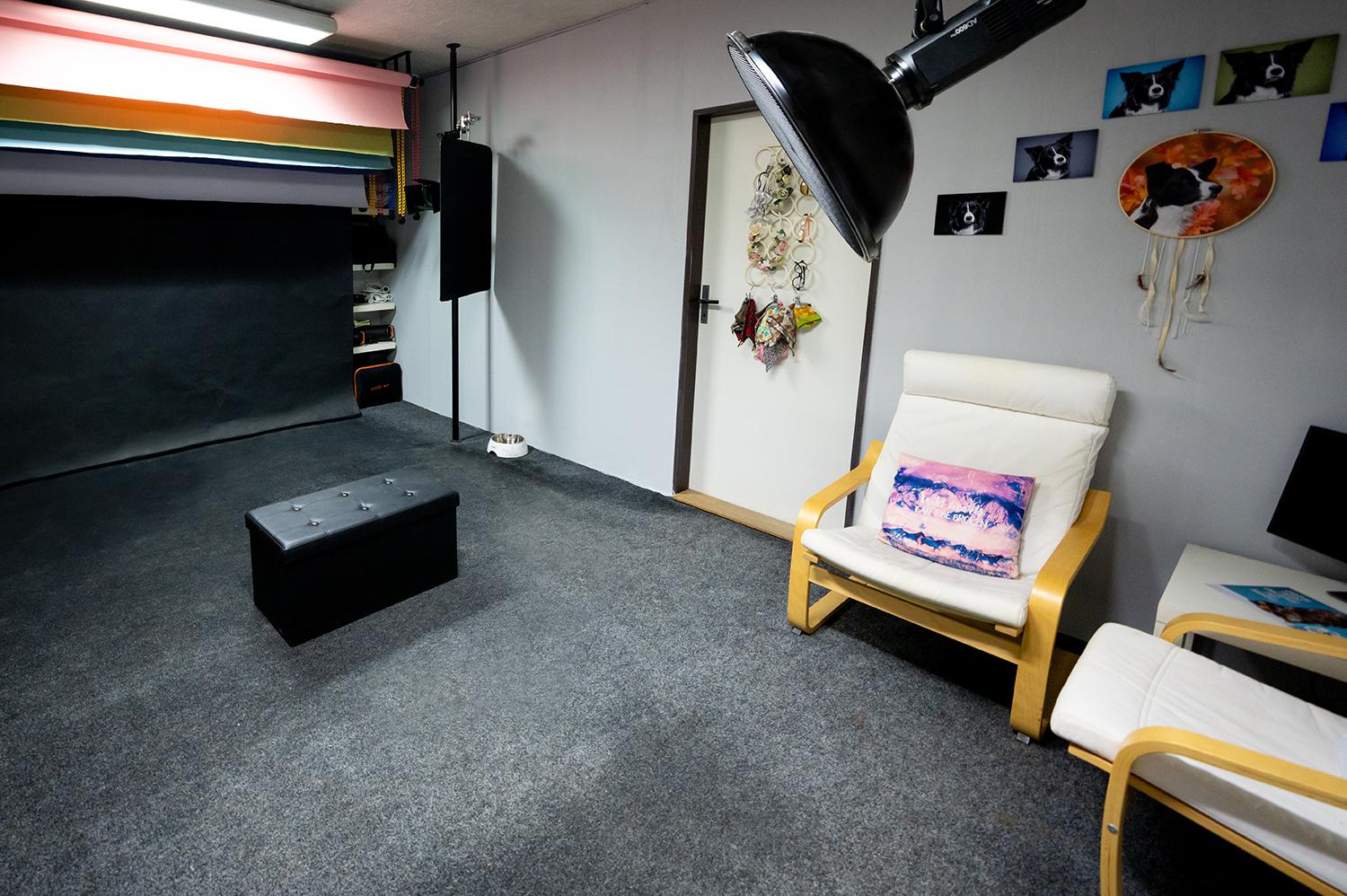 Martina Burianová - Ateliér pro psy