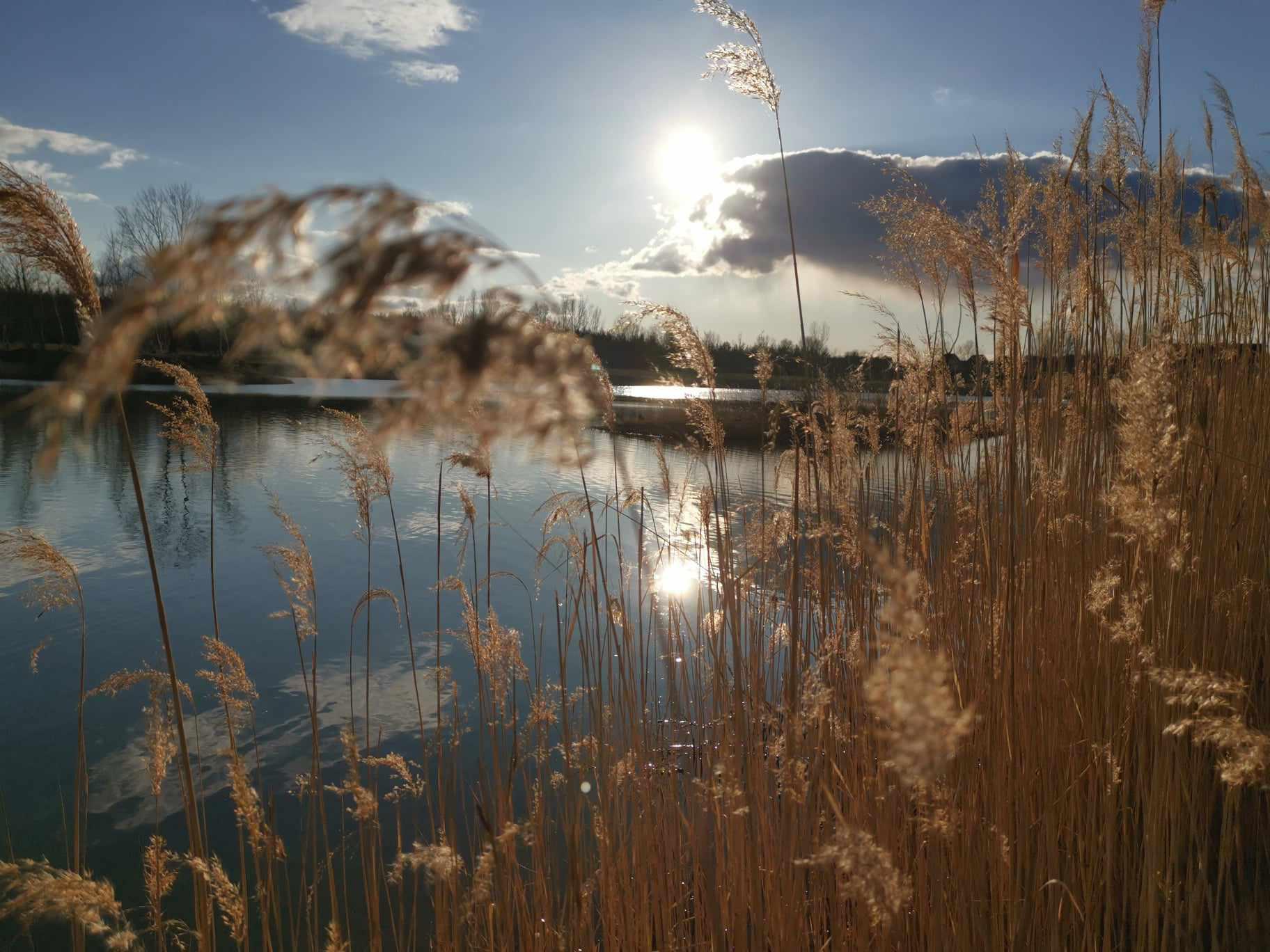 Rekreační areál Jezero Vojkovice foto 5