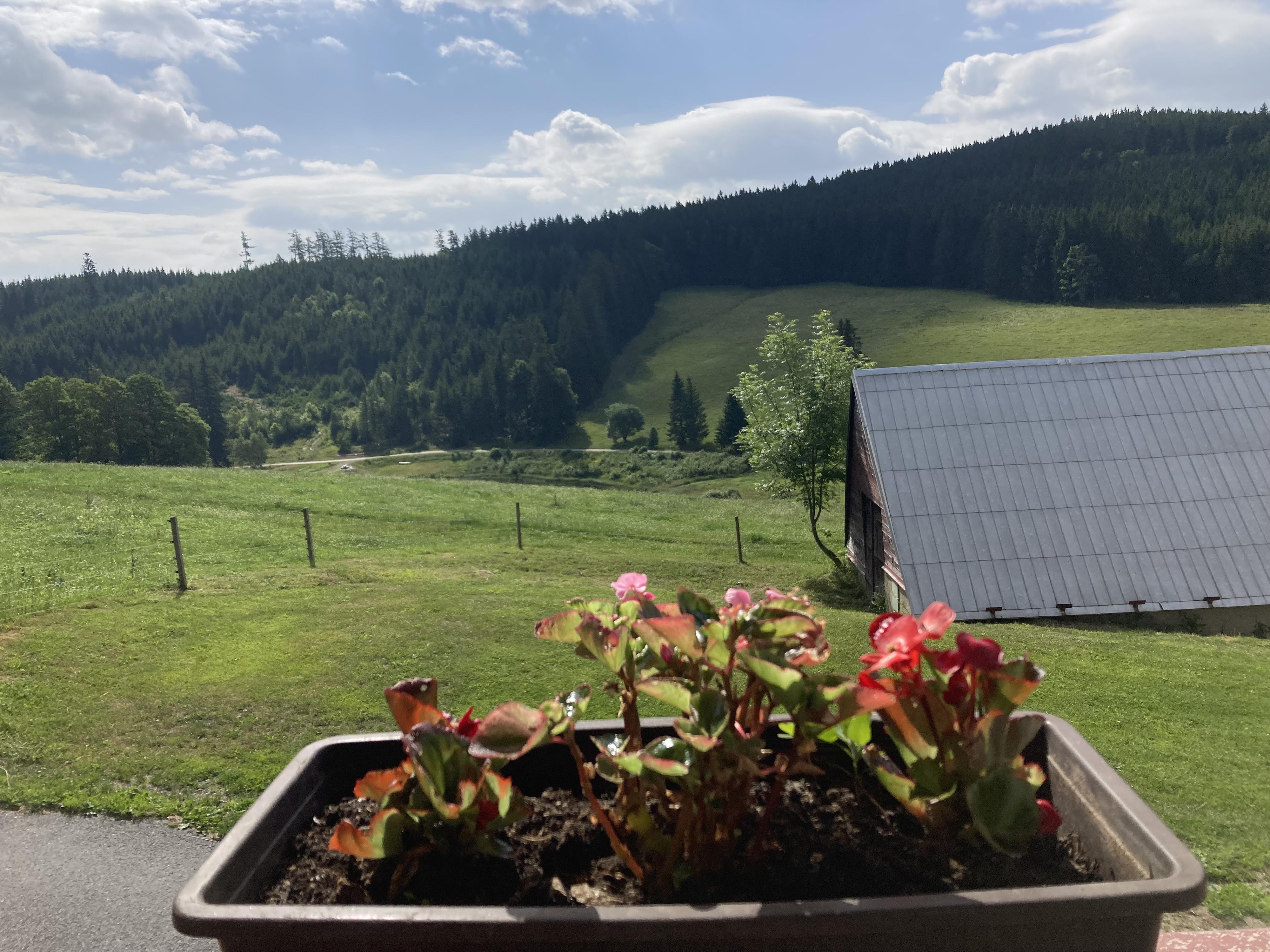 Farma Michlovka foto 6