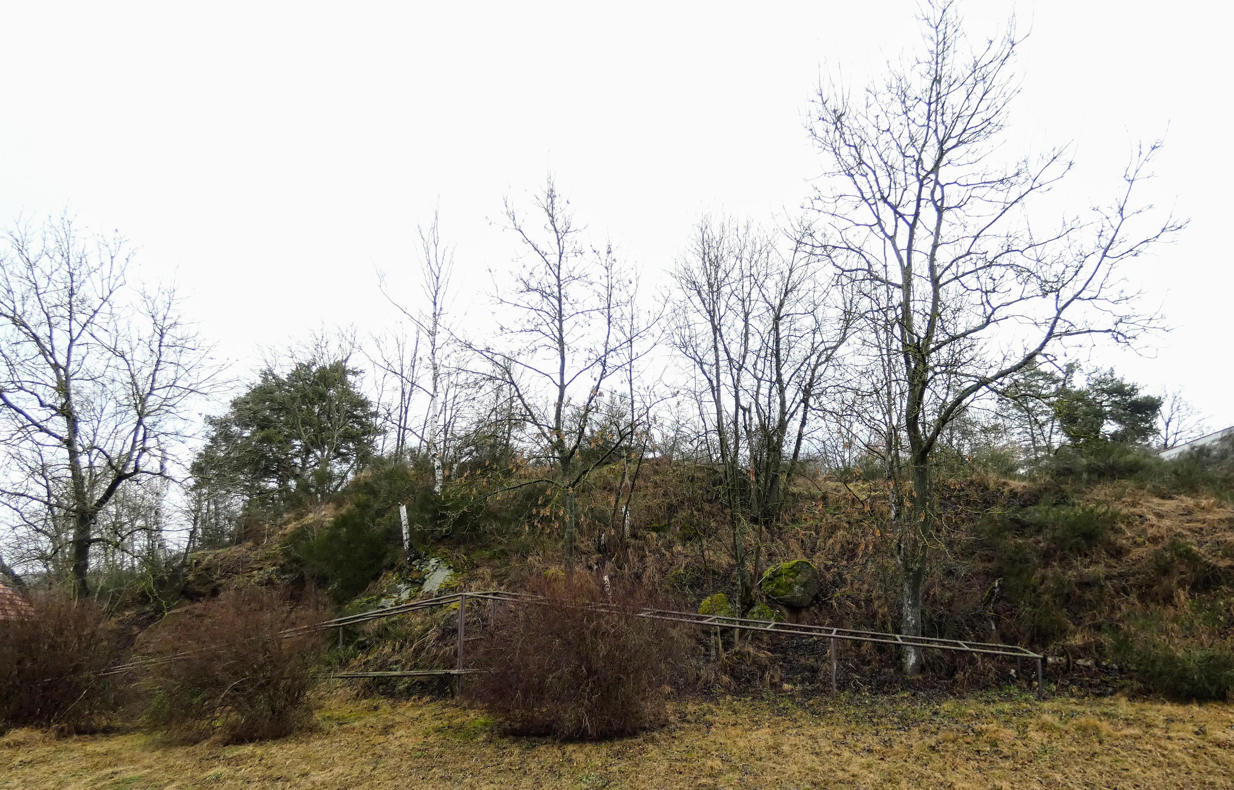 SH ČMS - Sbor dobrovolných hasičů Čelákovy foto 3