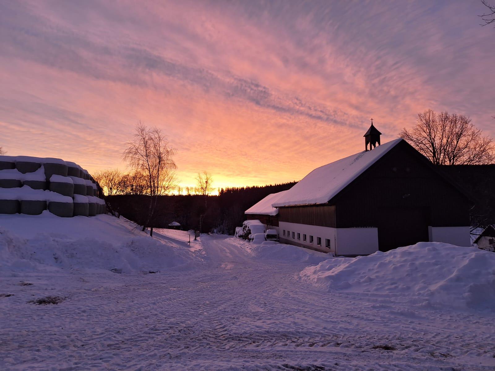 Farma Michlovka foto 5