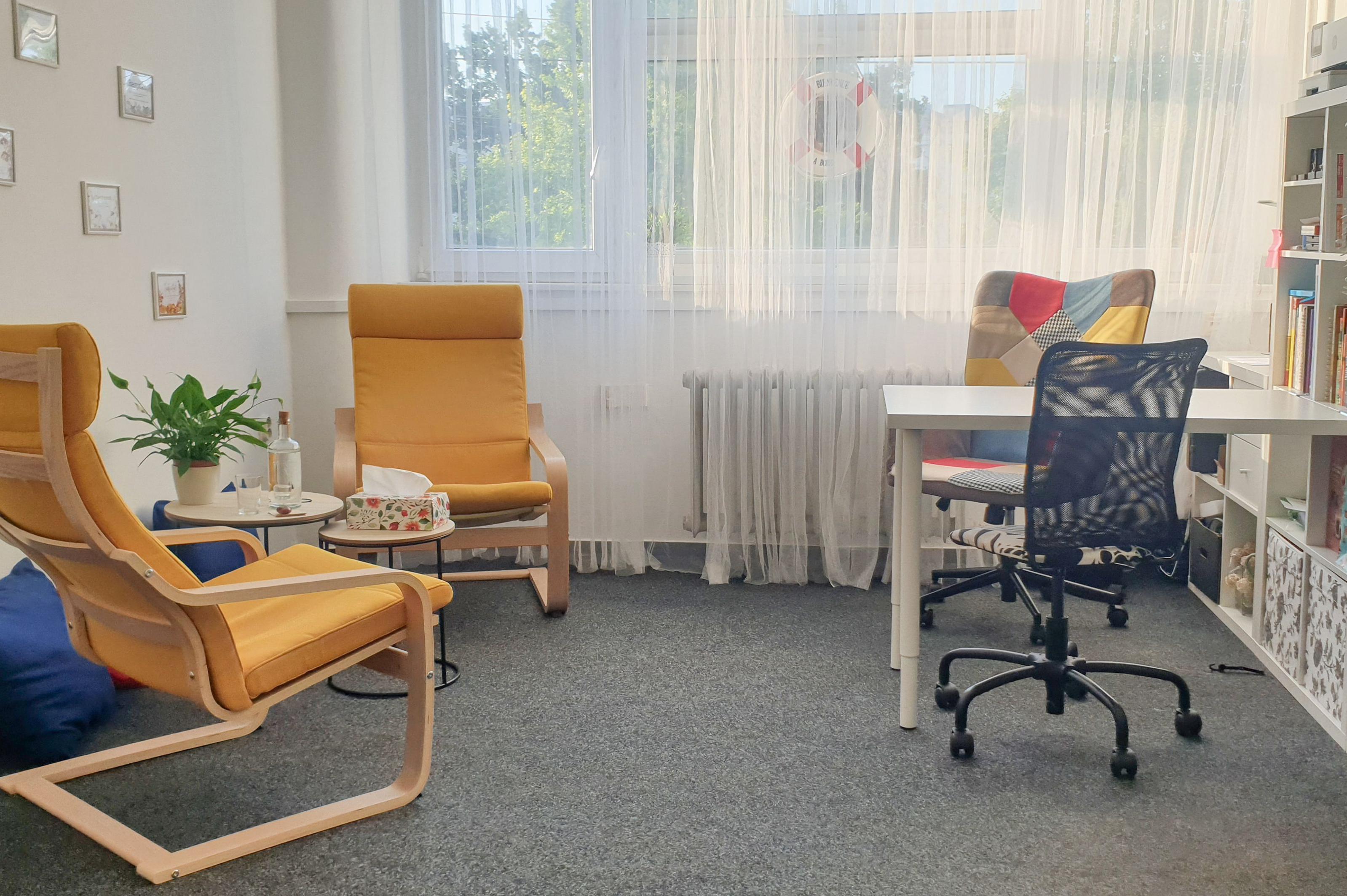 Tereza Dostálová, psychoterapeutické poradenství