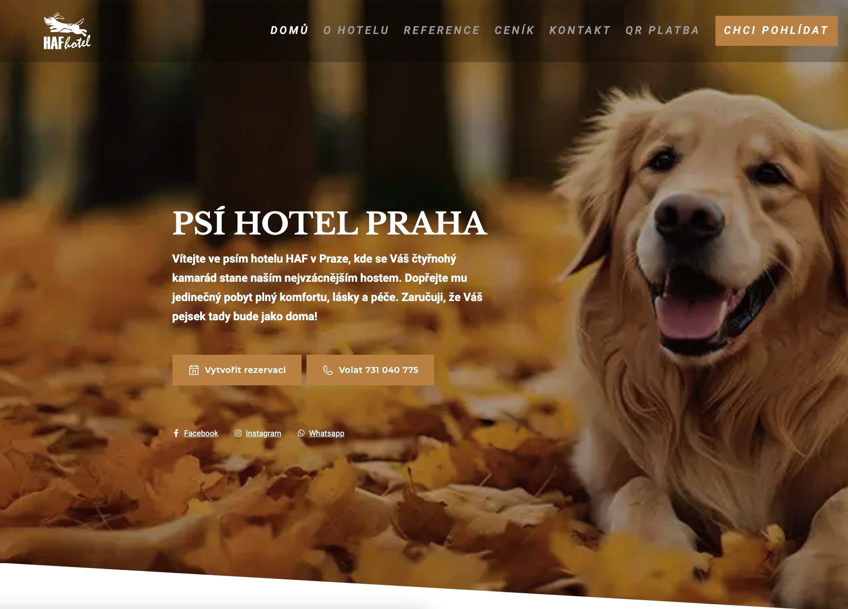 Websitepoint - Cloud Business s.r.o. foto 2