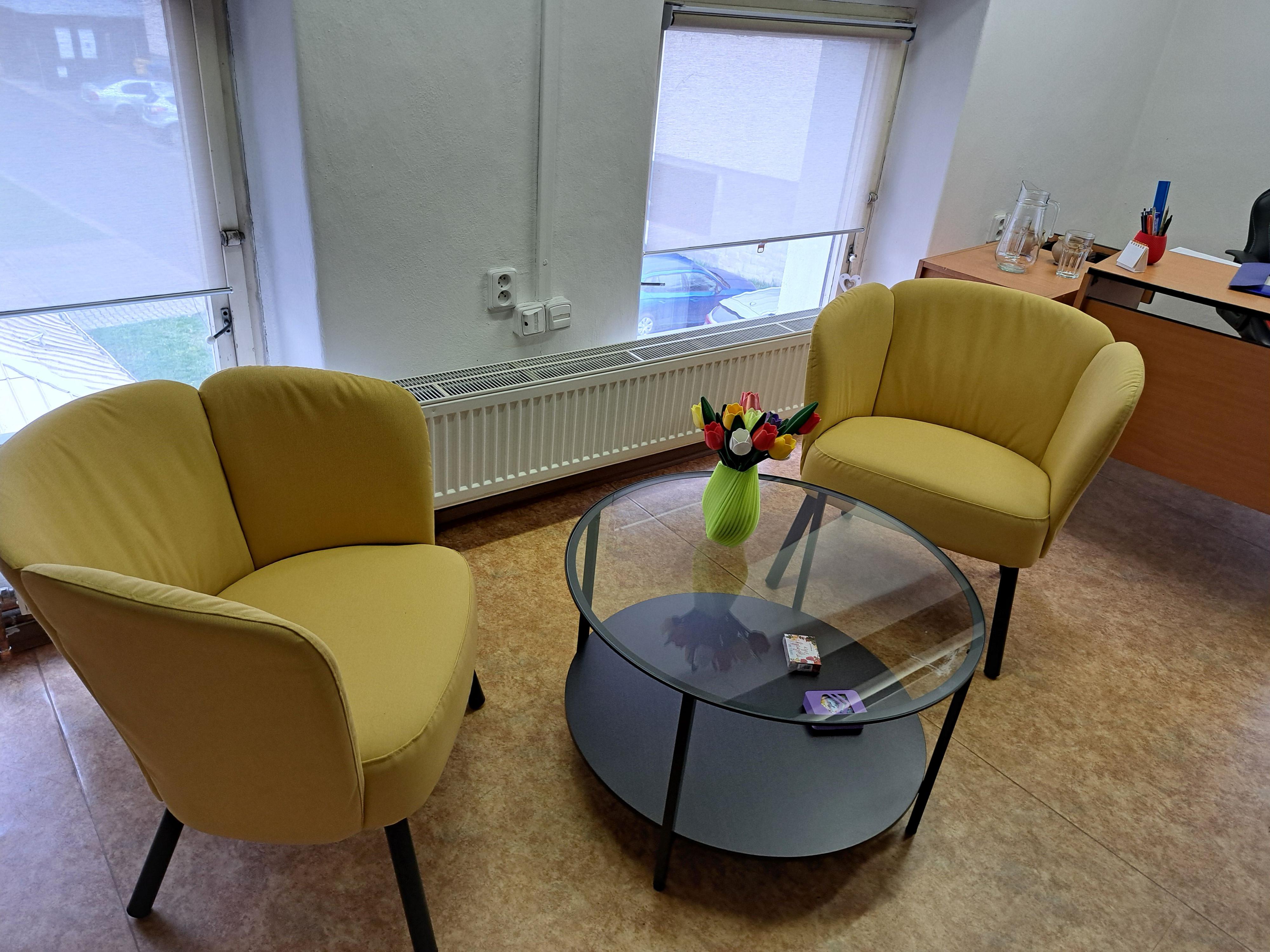 Pozitivní koučink - Zuzana Stehlíková, MBA foto 2