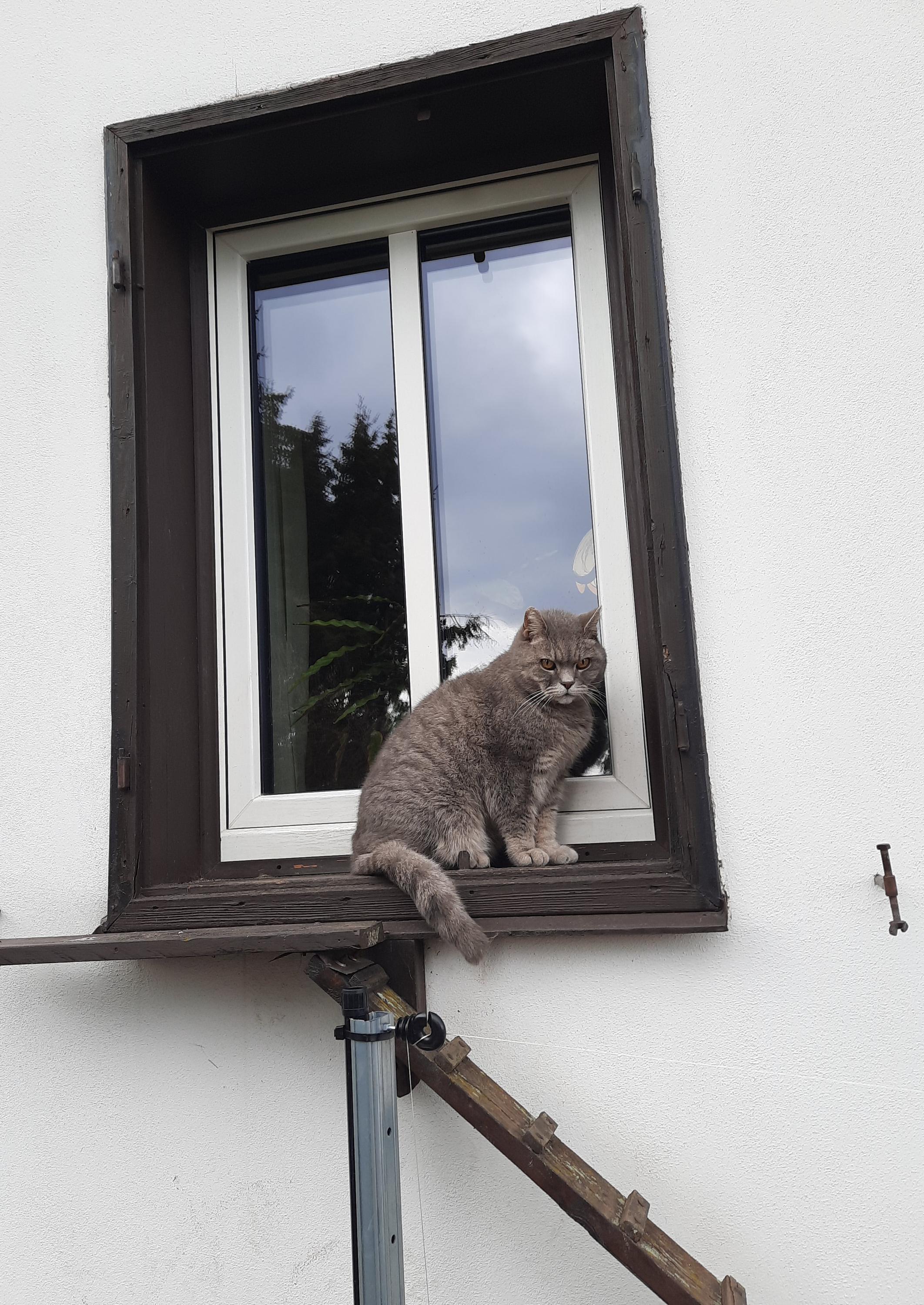 Pension u Härtelů foto 3