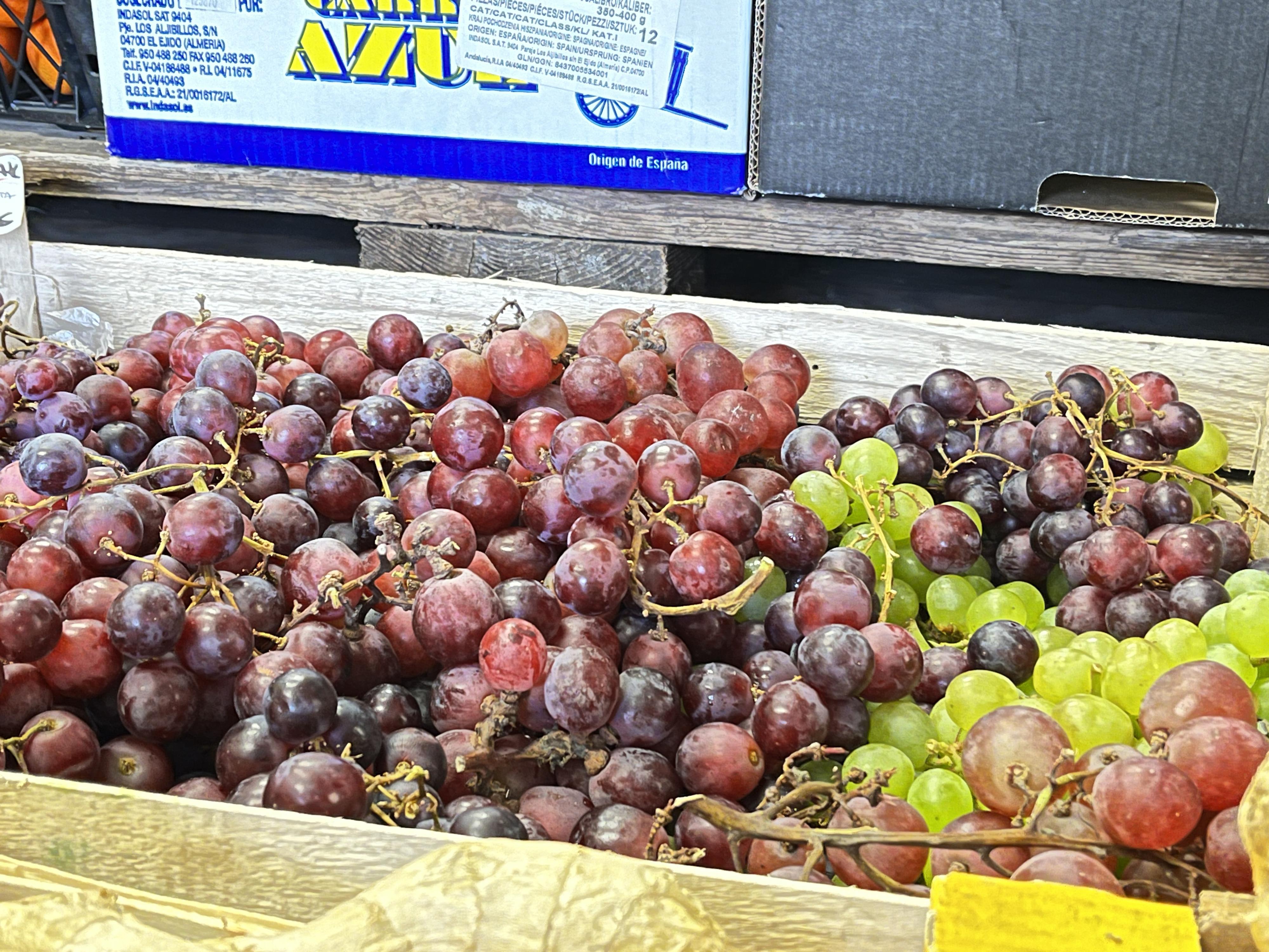 Krmiva u Naty foto 4