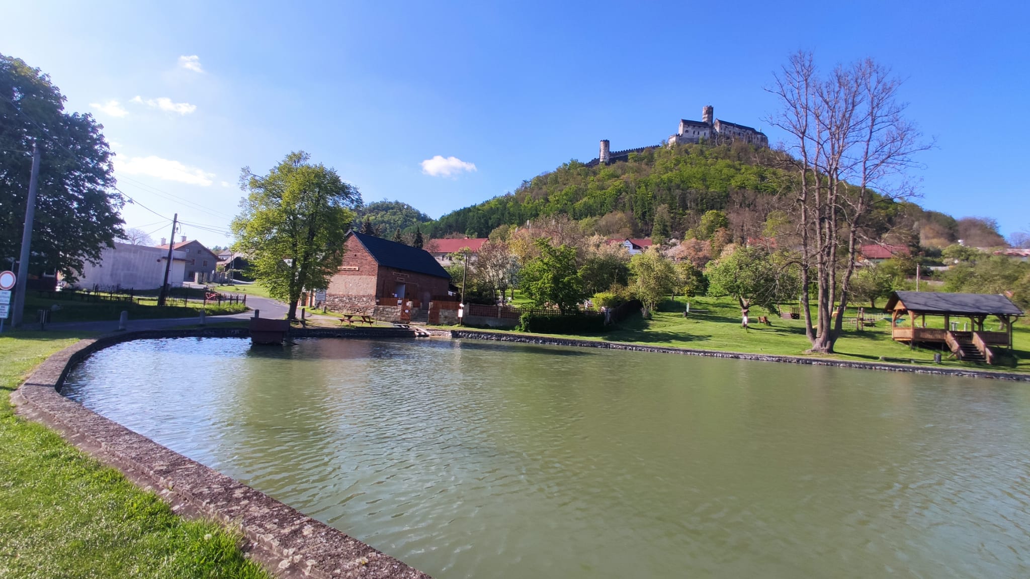 Točená zmrzlina u rybníka foto 3