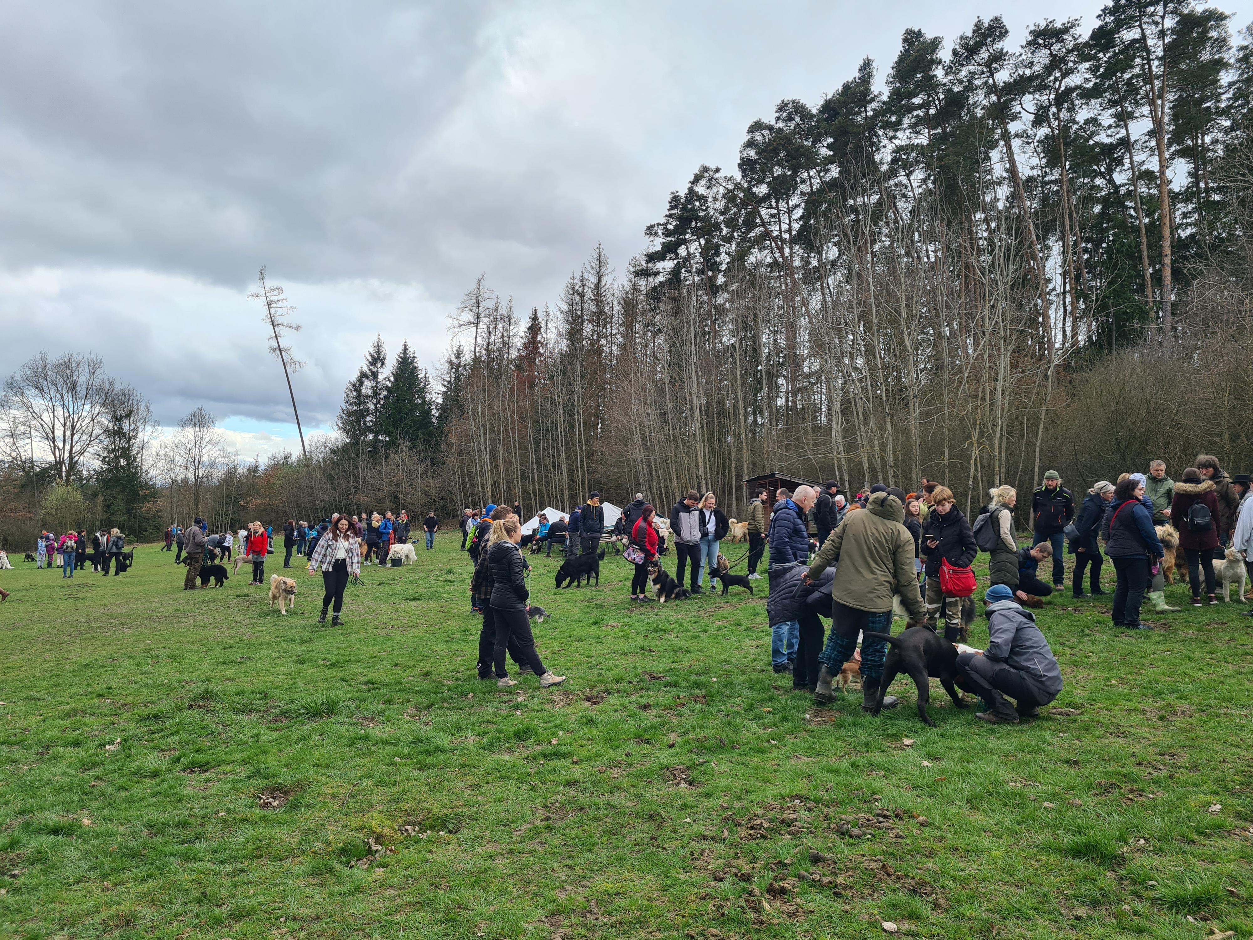 Mikroazyl Vlčáry z.s. foto 4