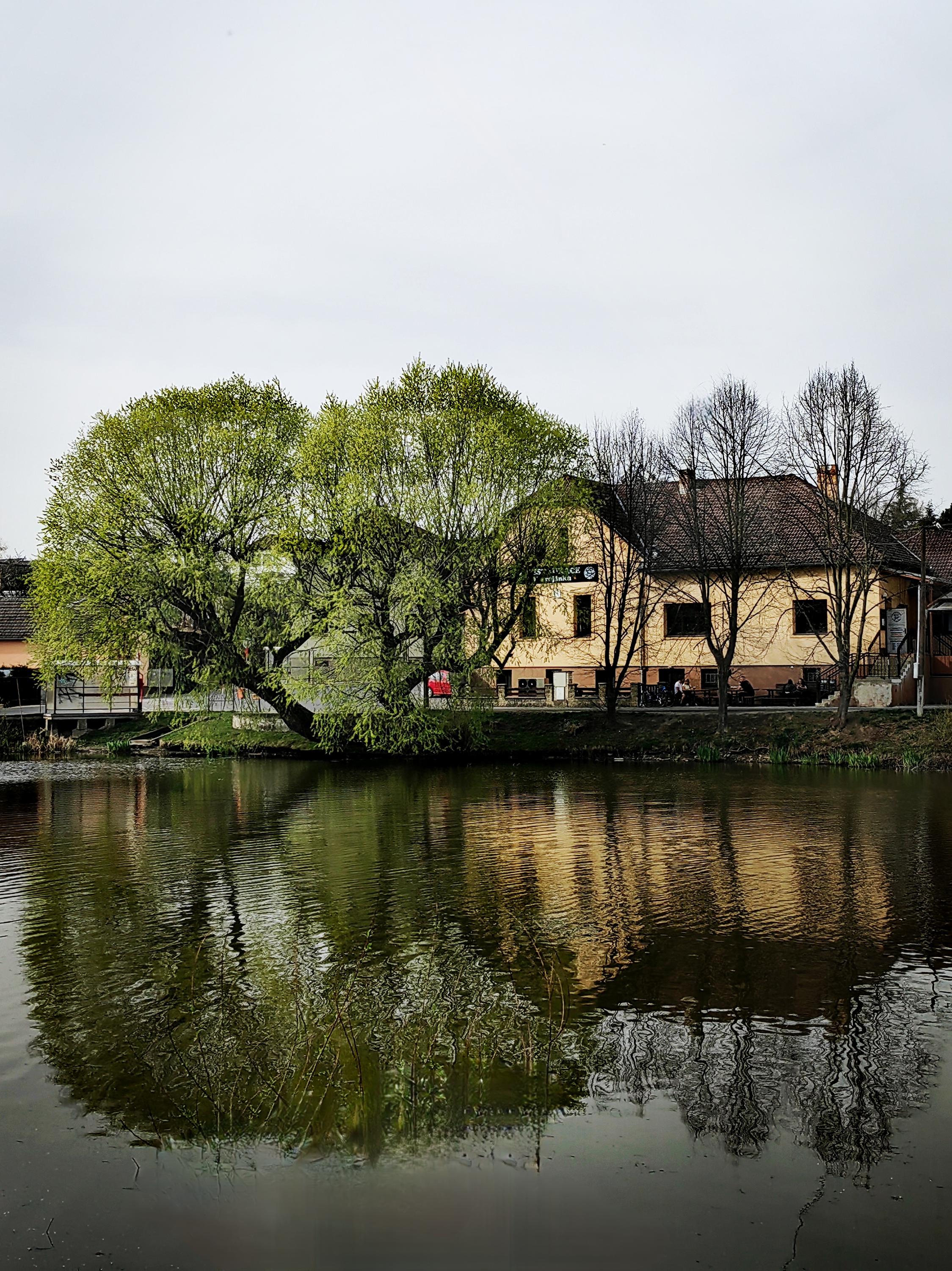 Restaurace U Trojánků foto 2