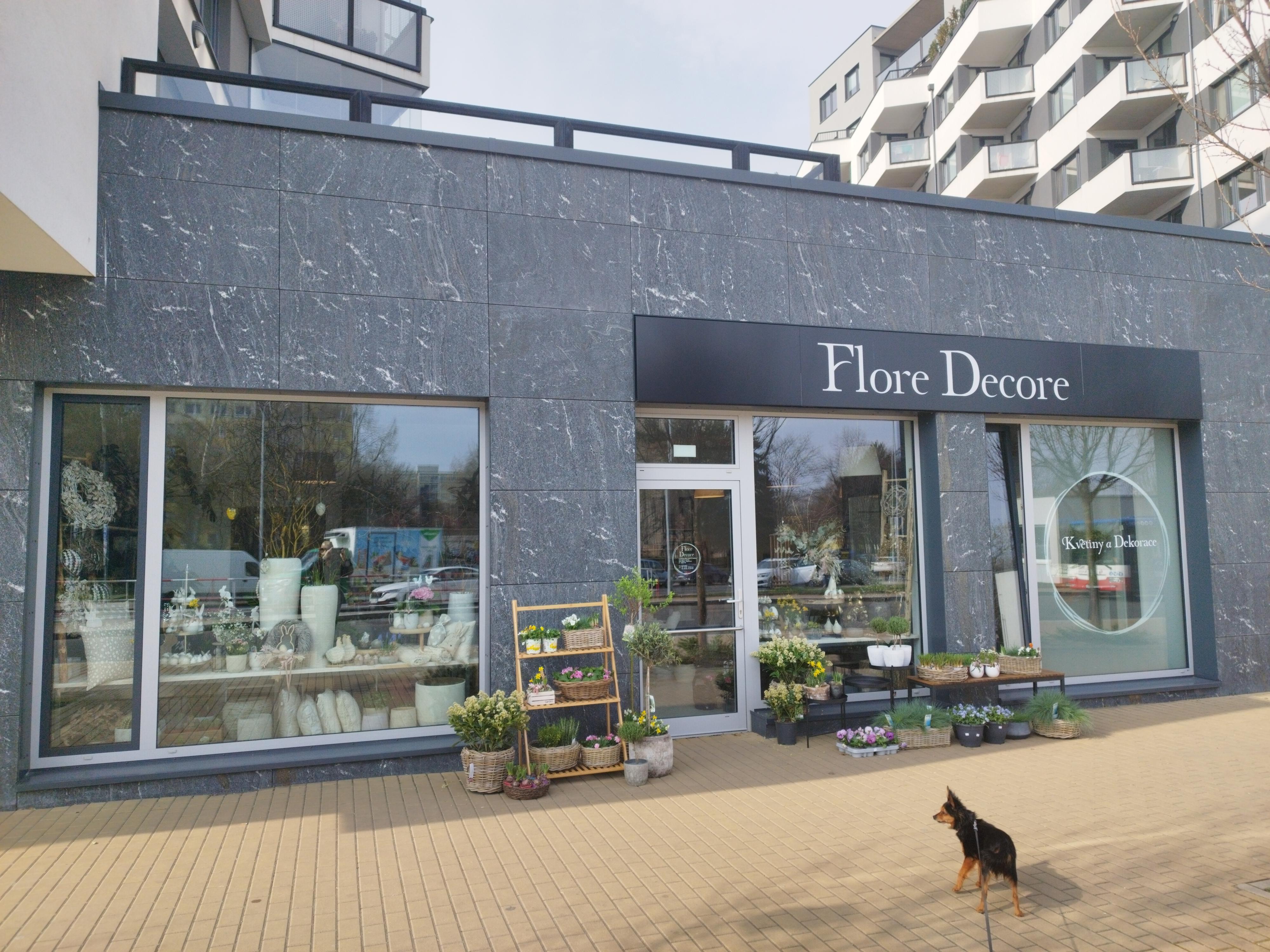 Flore Decore foto 5