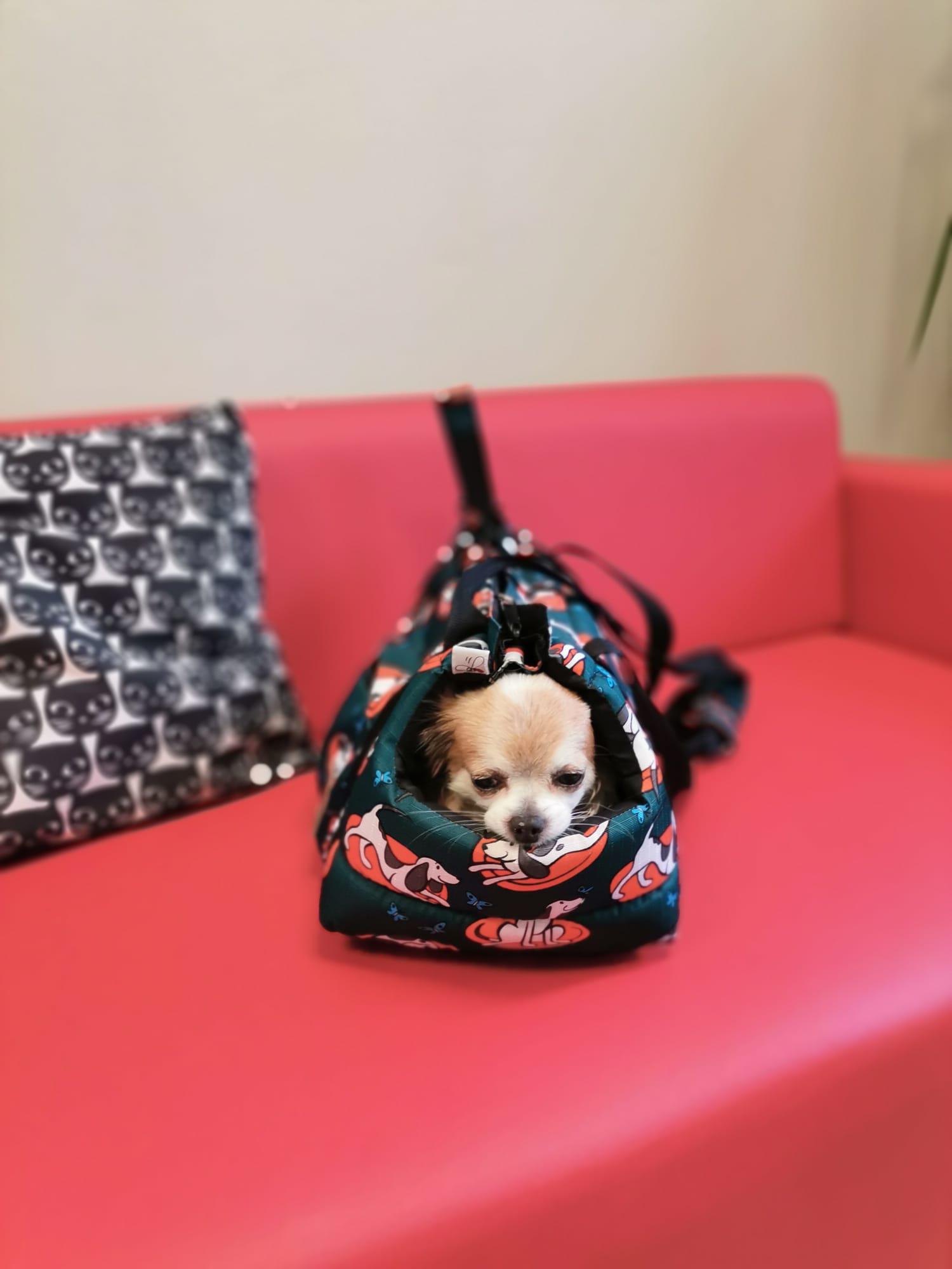 MVDr. Natalija Krčková N-VET foto 5