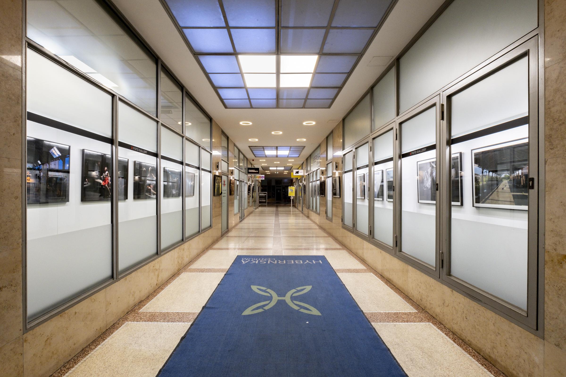 Tisknifotky.cz foto 3