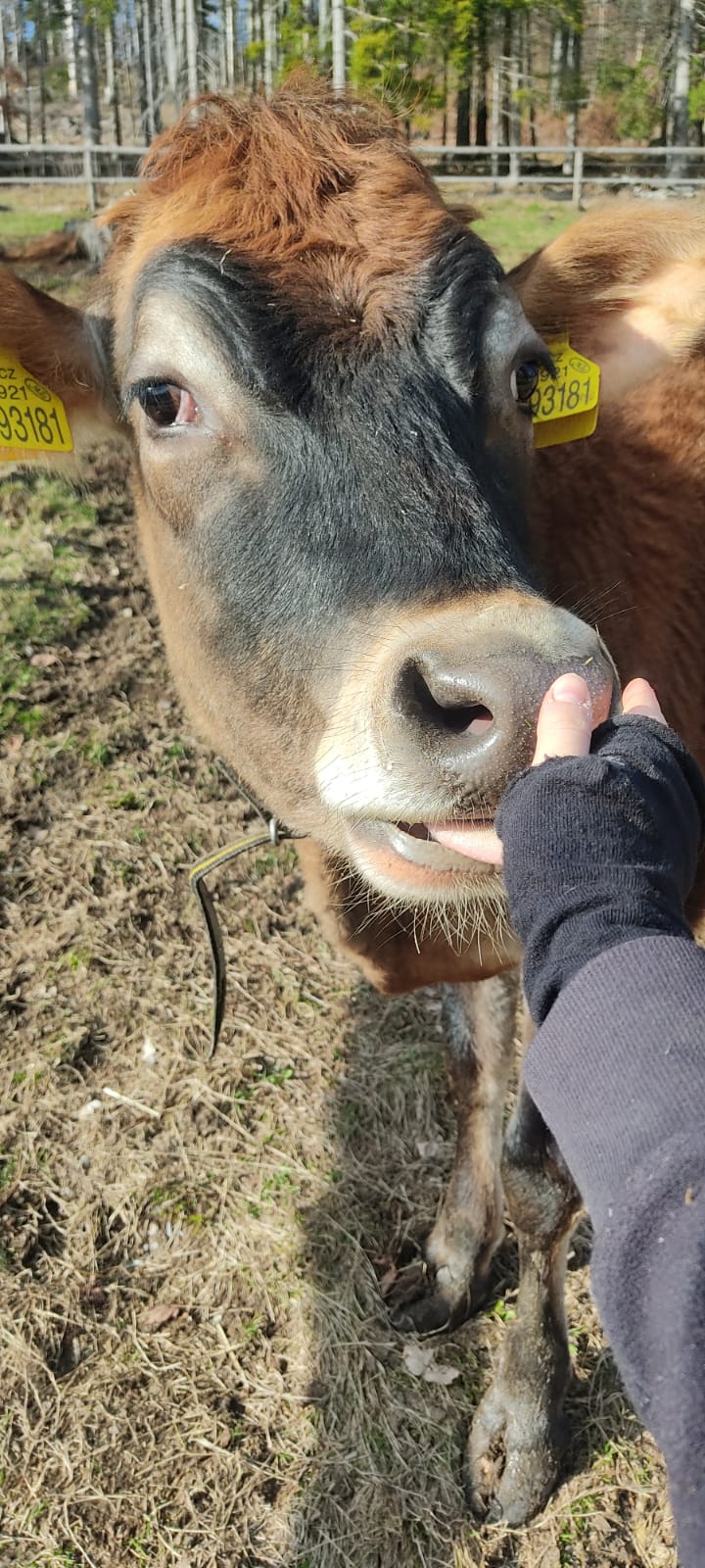 Malá Farma Spálensko - Bratrouchov foto 4