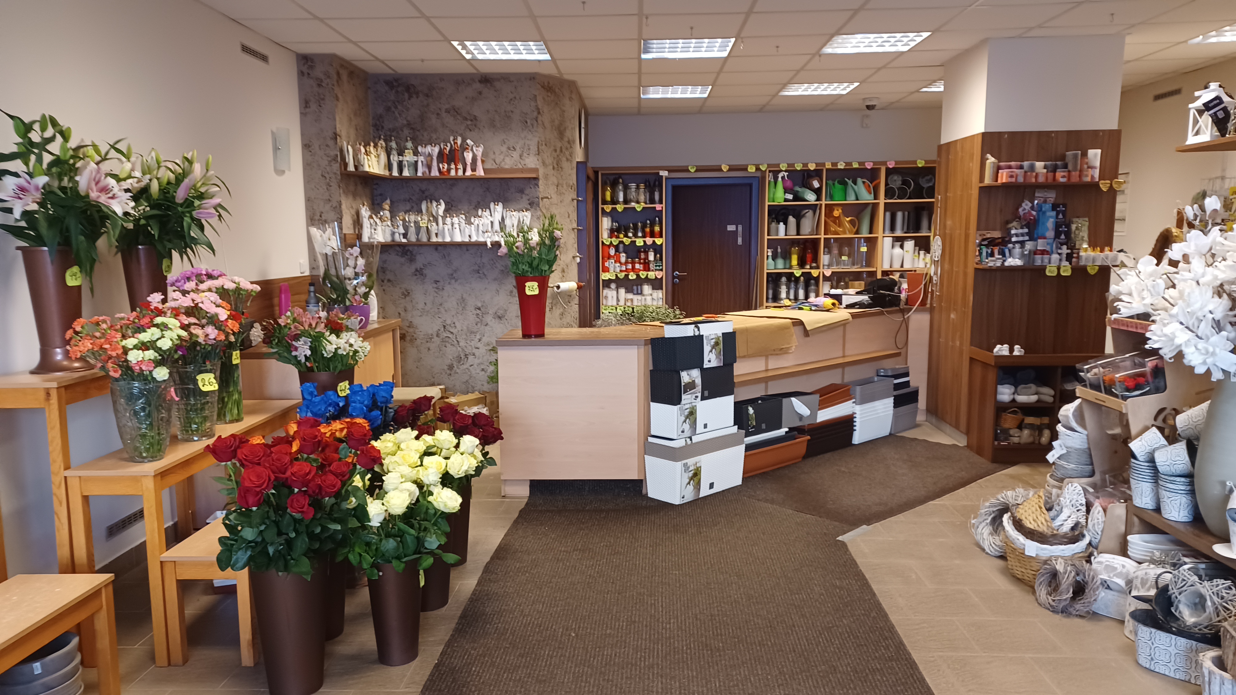 Ing. Jana Jánešová - Flora centrum foto 2