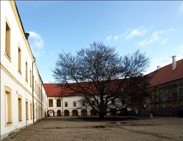 Zámek Děčín foto 4