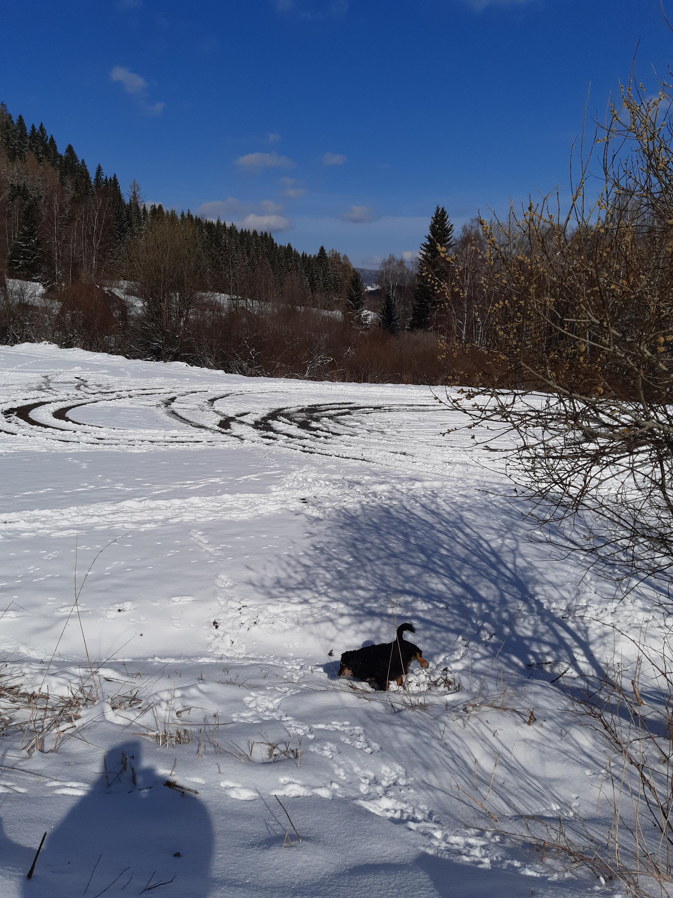 Ski areál Javorná foto 6