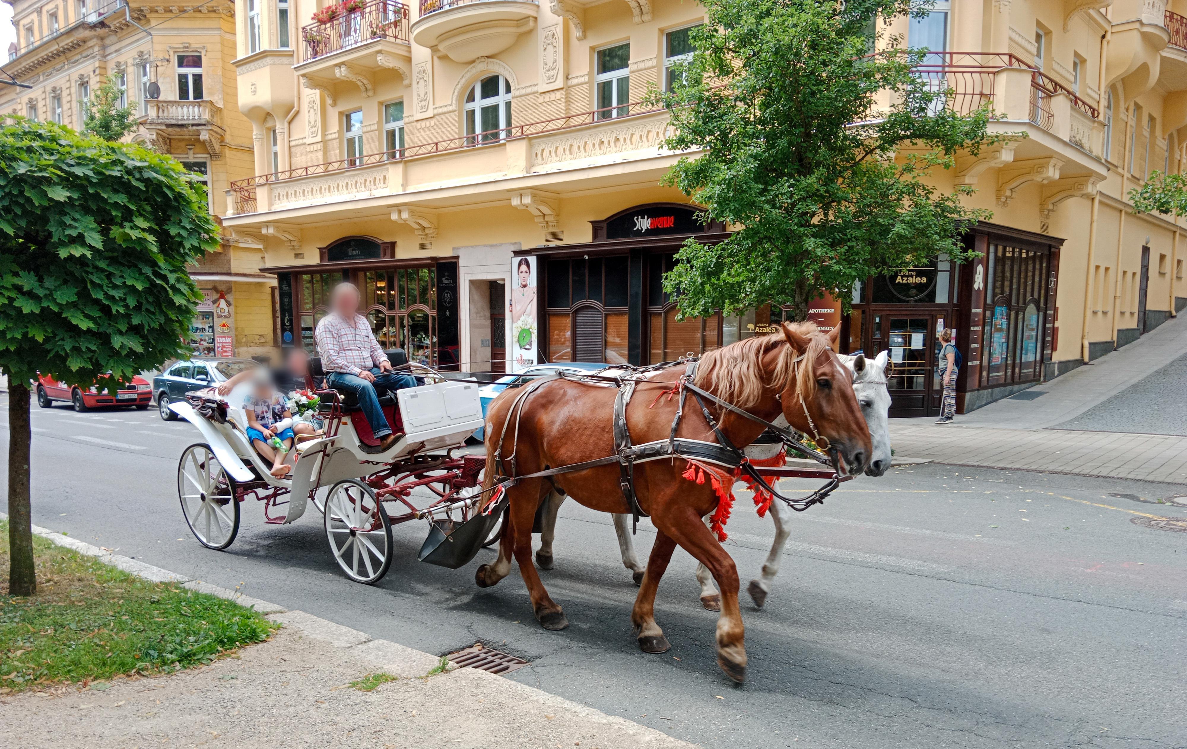 Lékárna Tilia foto 4