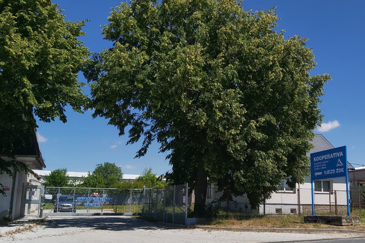 Kooperativa vod družstvo foto 1