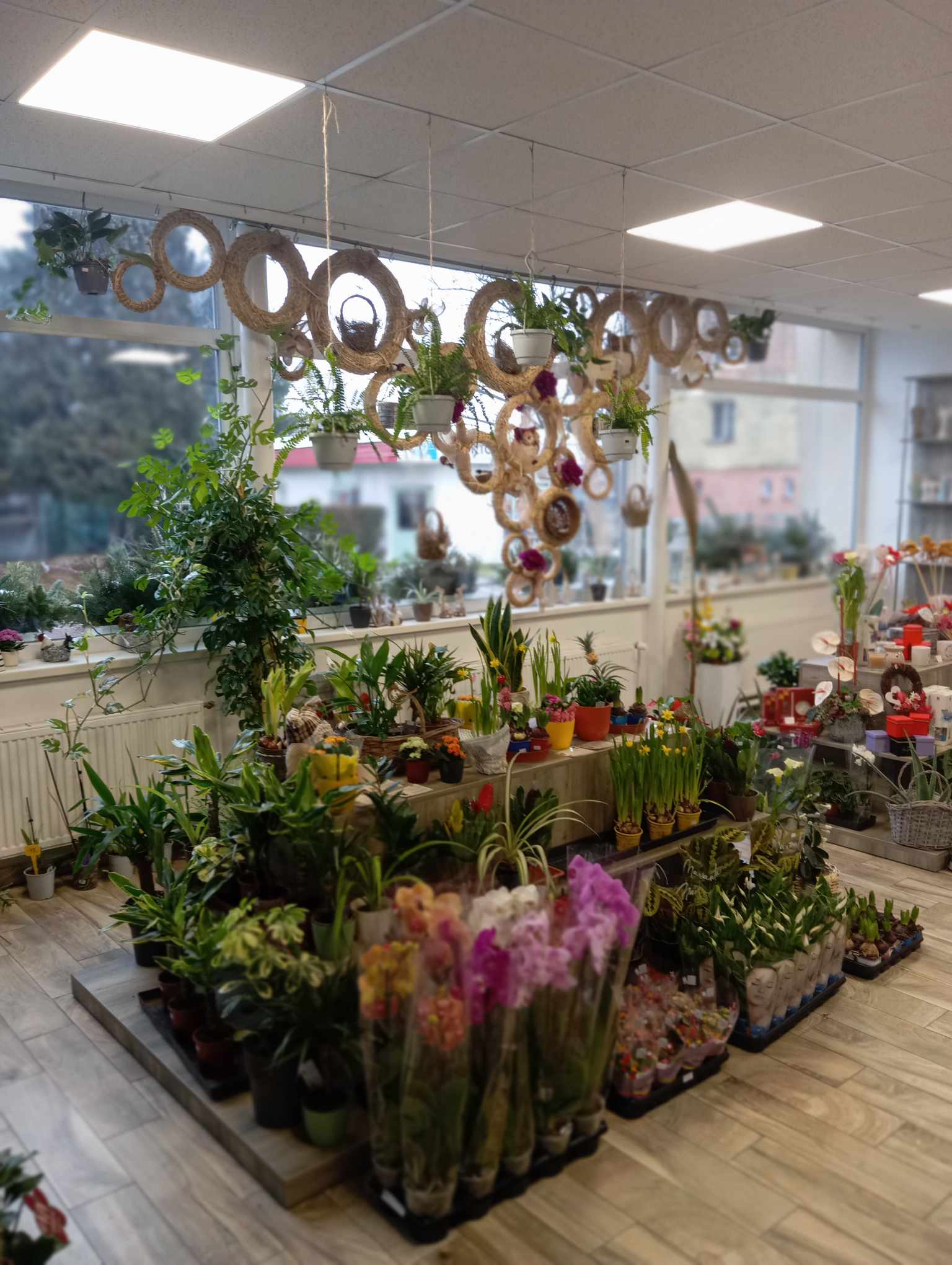 Květinářství U Hušků foto 2