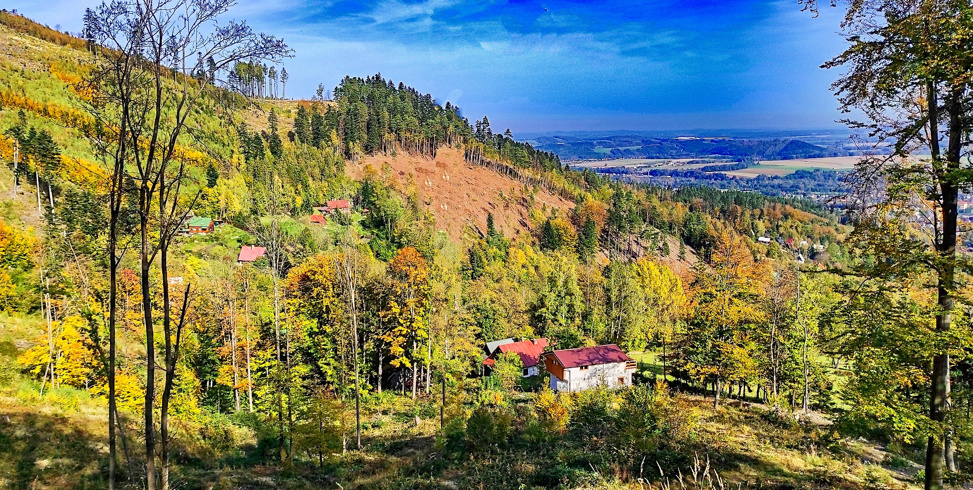 Lesní bar Frýdlant