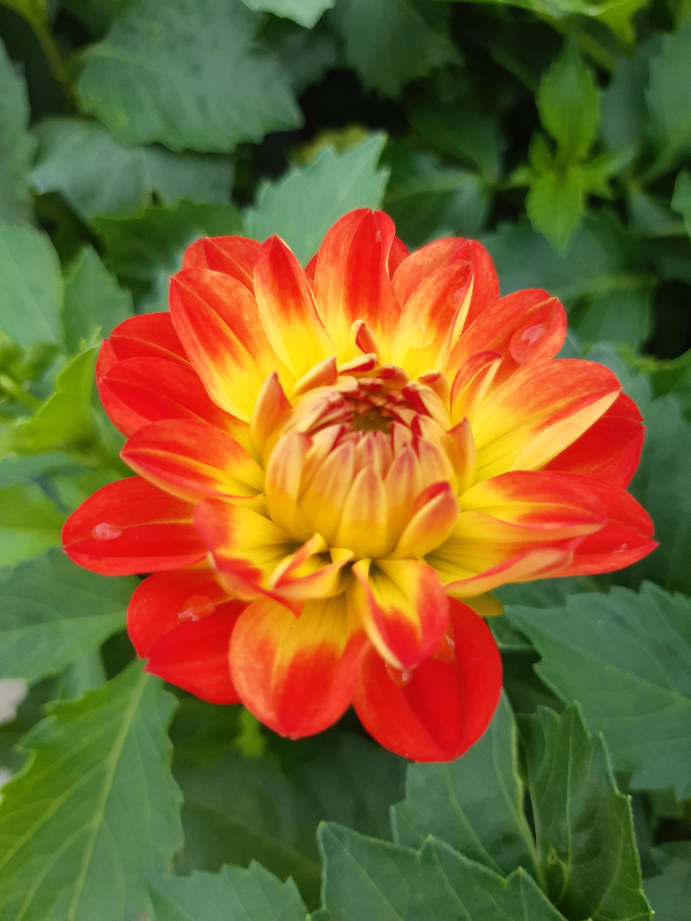 Natura centrum Petrovice s.r.o. foto 3