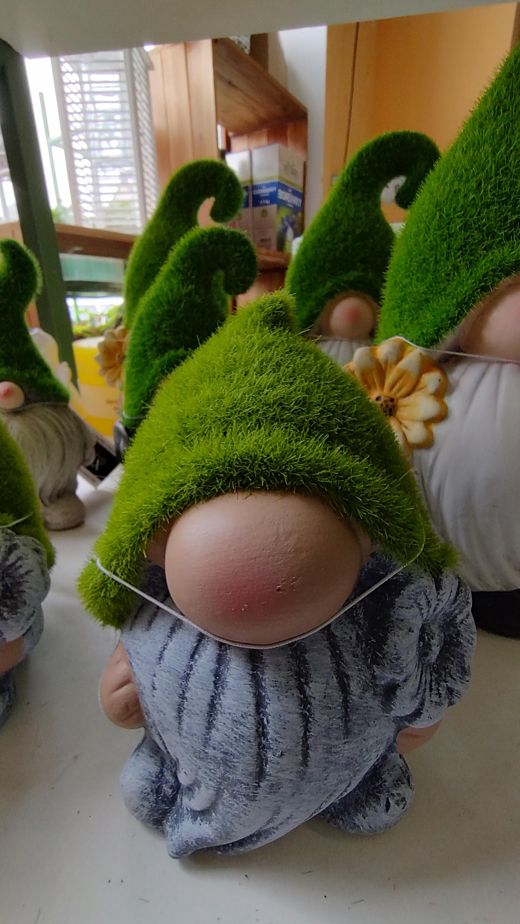 GREENBOSS - zahradní minicentrum foto 2