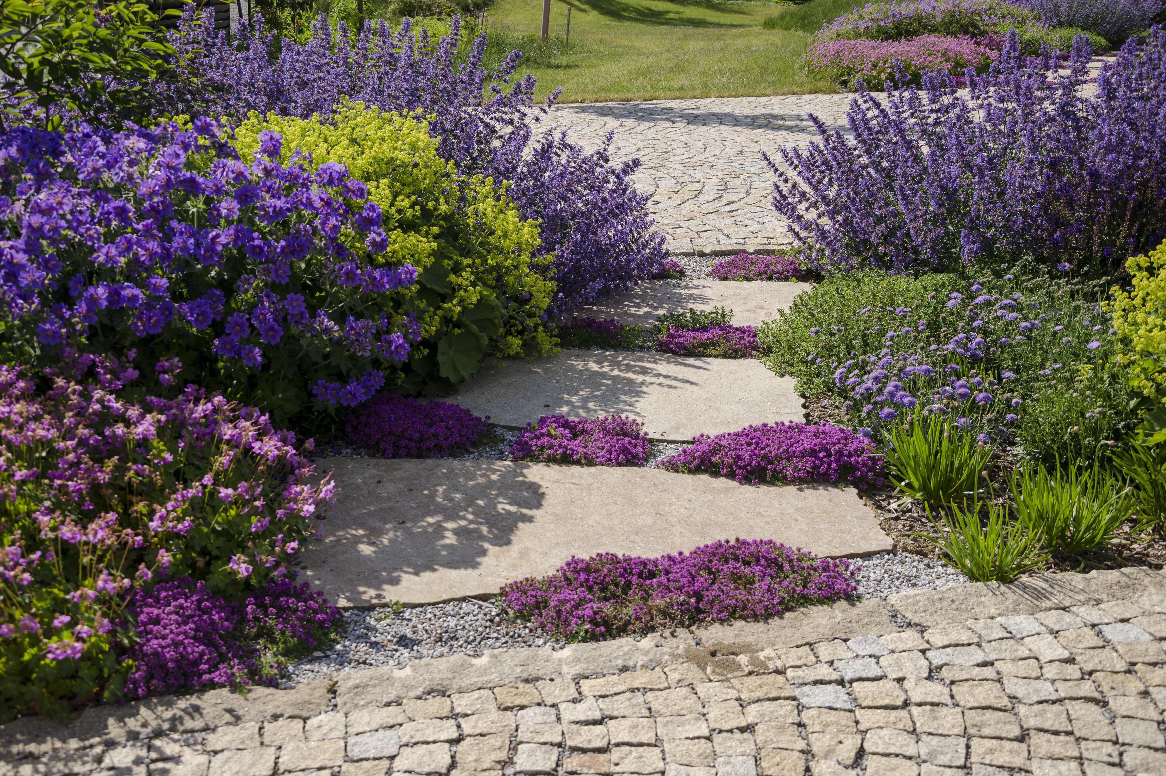 LILKOVY ZAHRADY foto 1