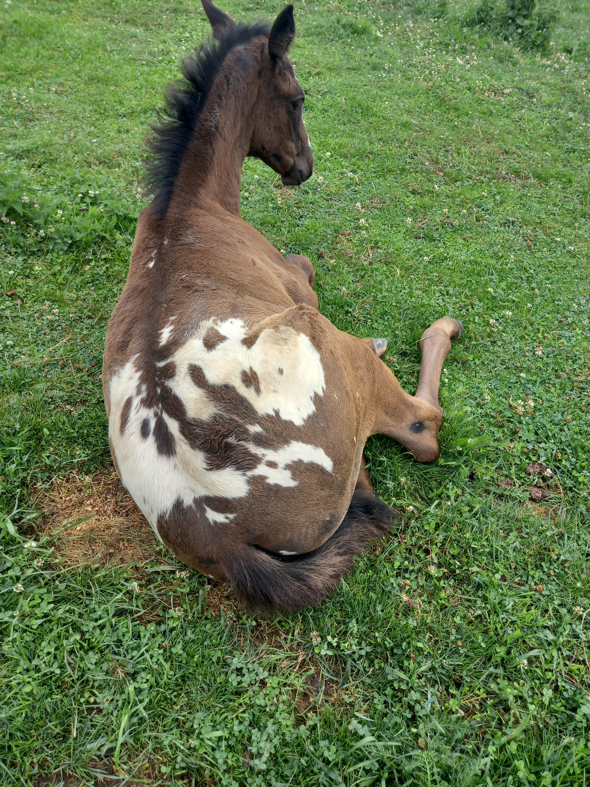 RANCH 102 foto 4